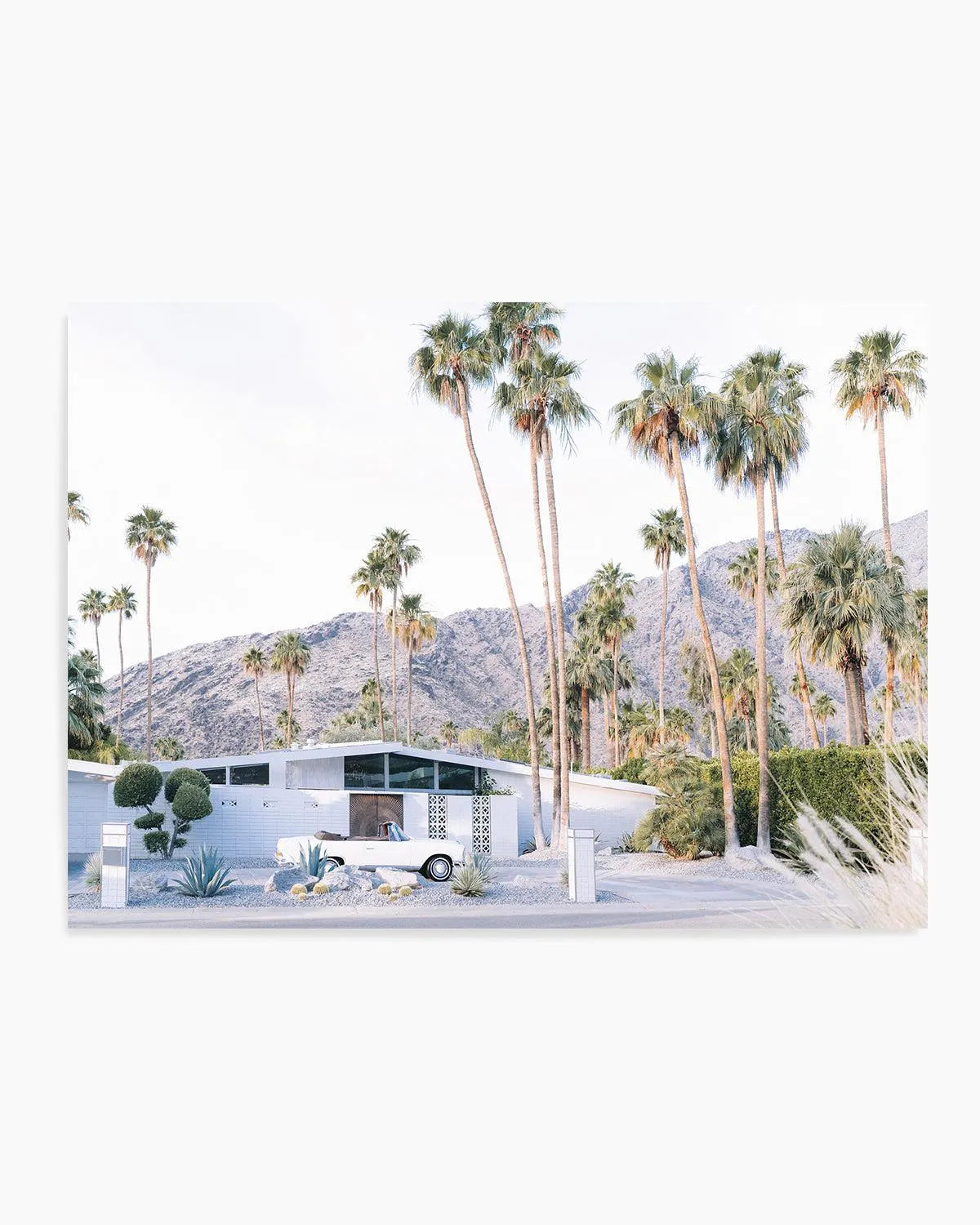 73 Palm Springs Art Print from Olive et Oriel where you can shop wallpaper and artworks online