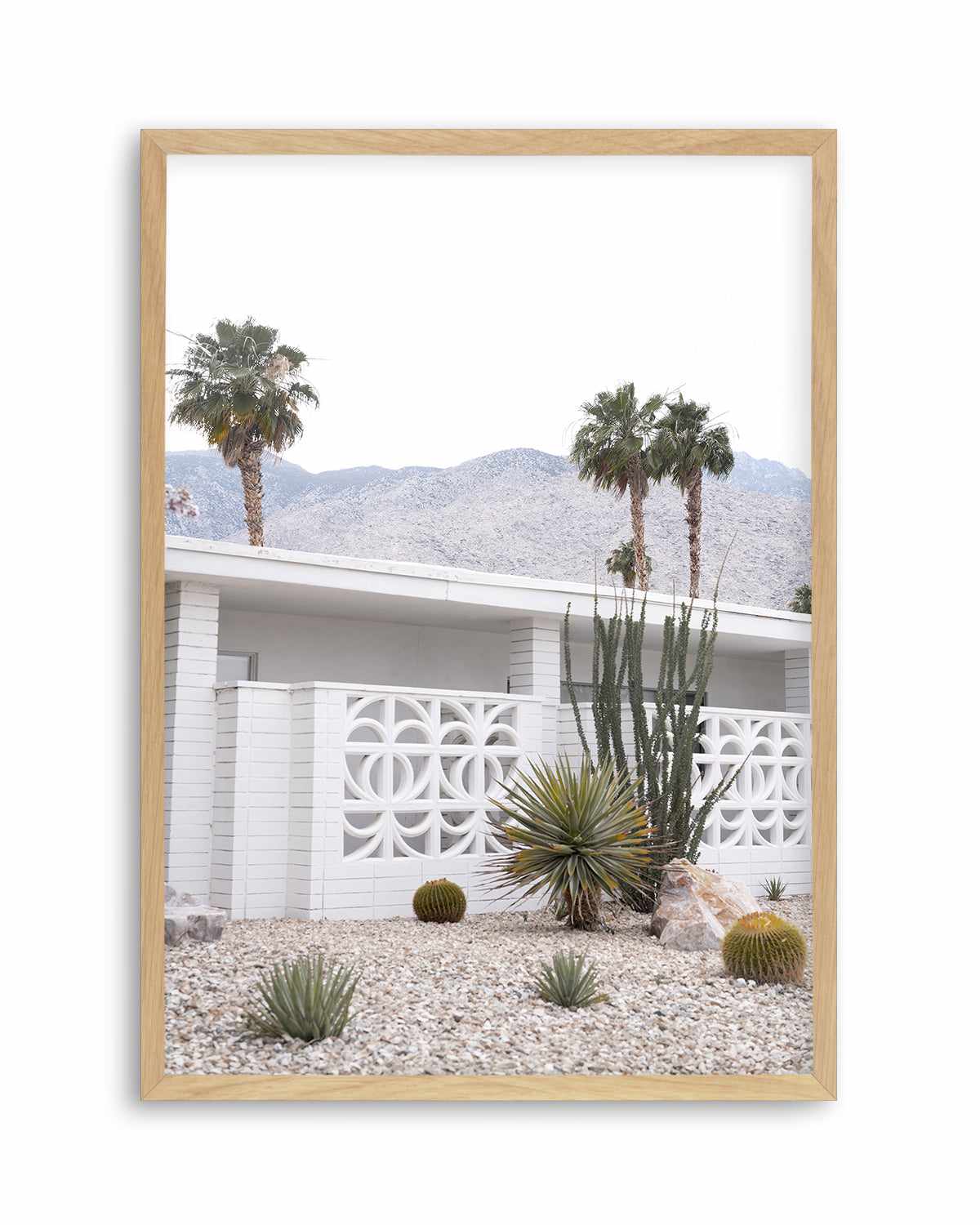 74 Palm Springs Art Print