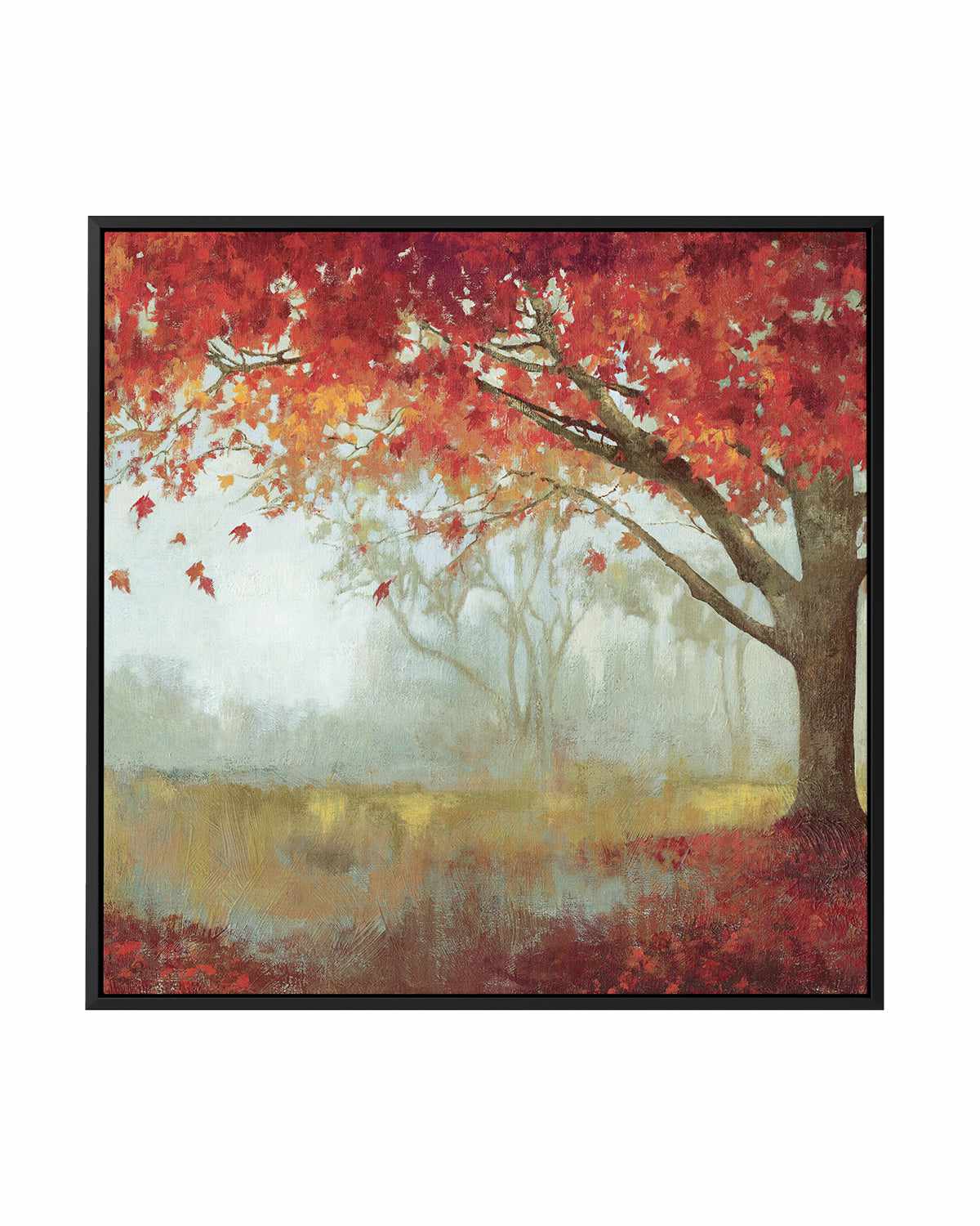 A Sense of Space I | Framed Canvas Art Print