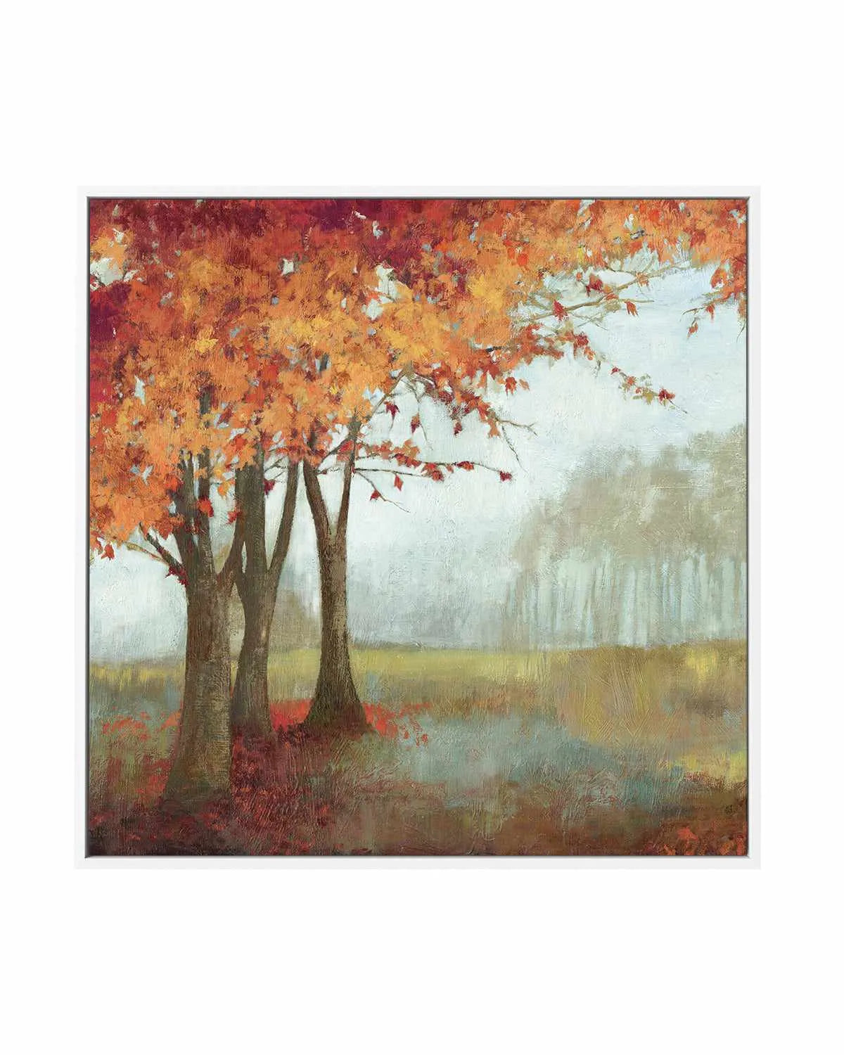 A Sense of Space II | Framed Canvas Art Print from Olive et Oriel where you can shop wallpaper and artworks online