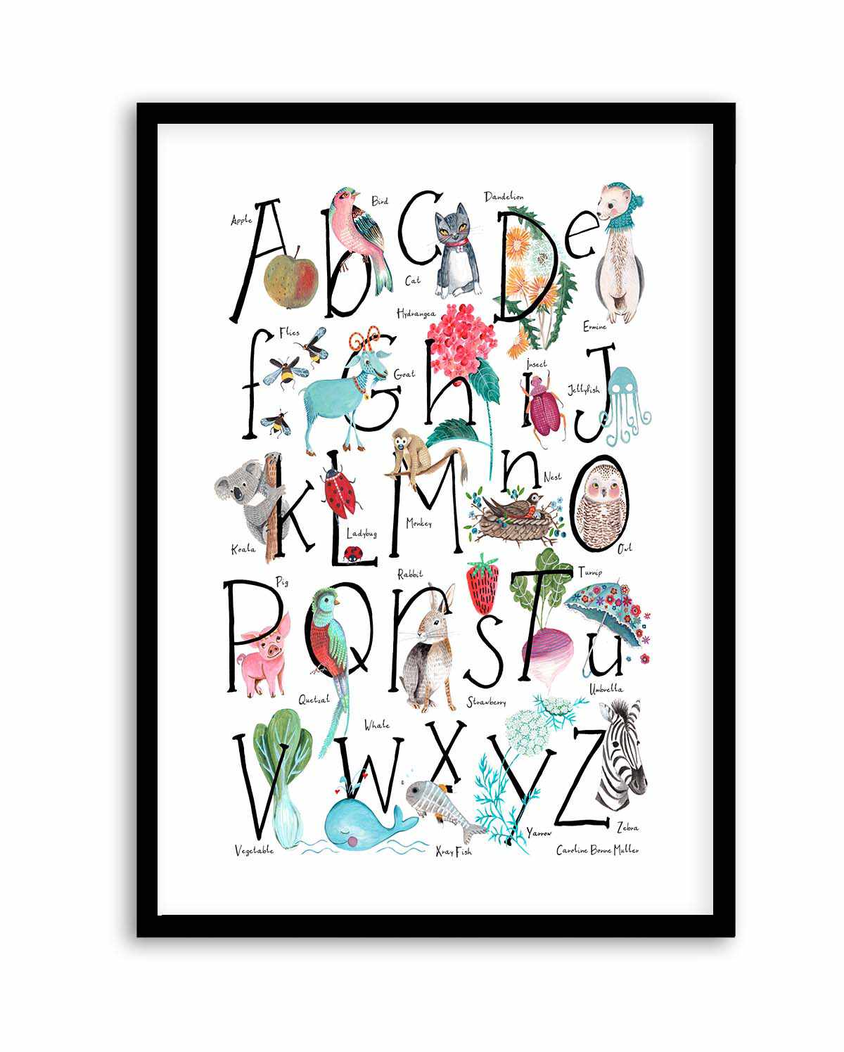 ABC illustration by Caroline Bonne Muller | Art Print