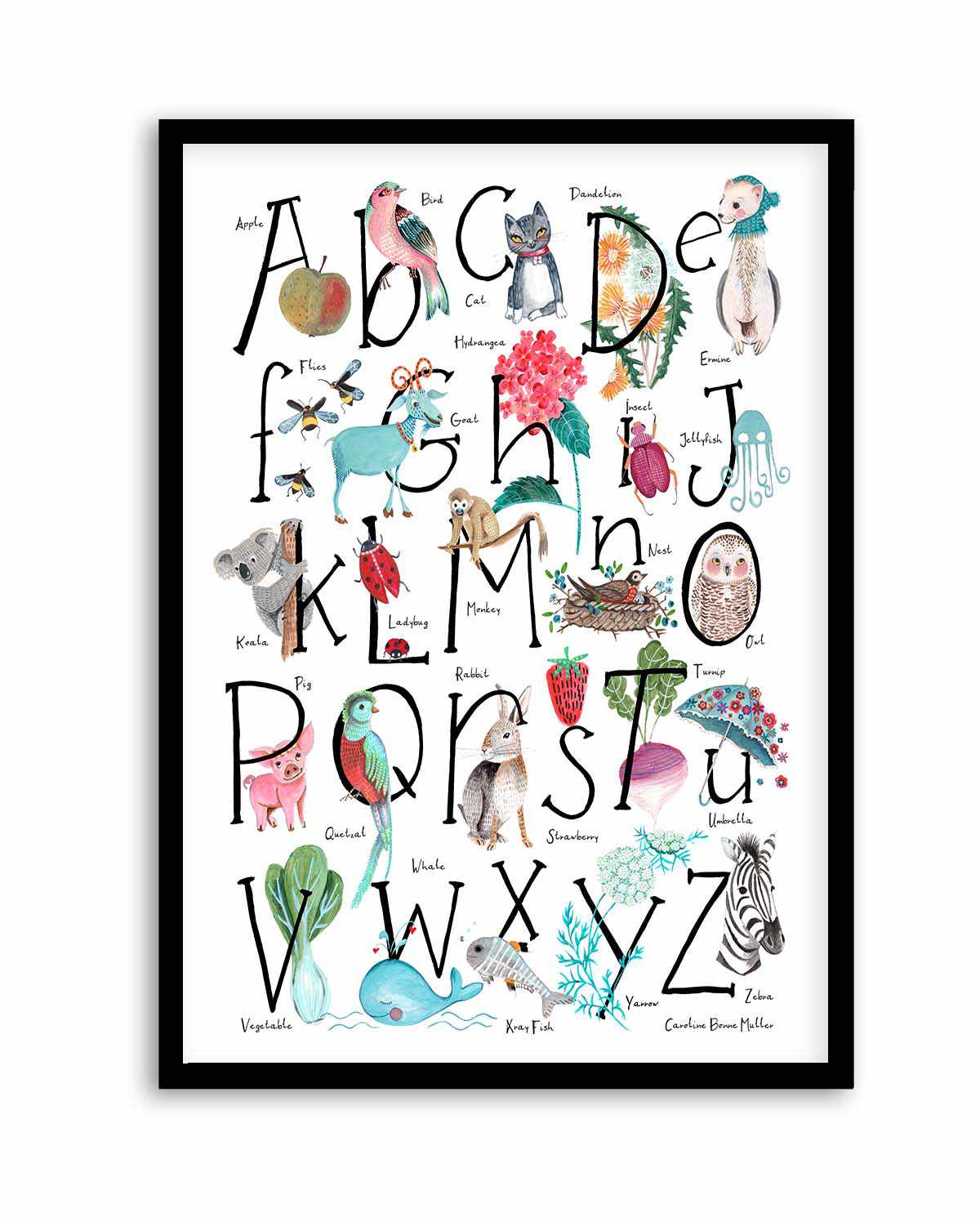 ABC illustration by Caroline Bonne Muller | Art Print