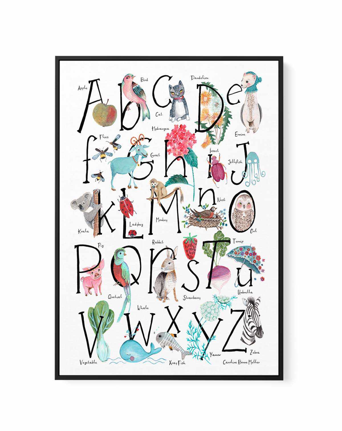 ABC Illustration by Caroline Bonne Muller | Framed Canvas Art Print