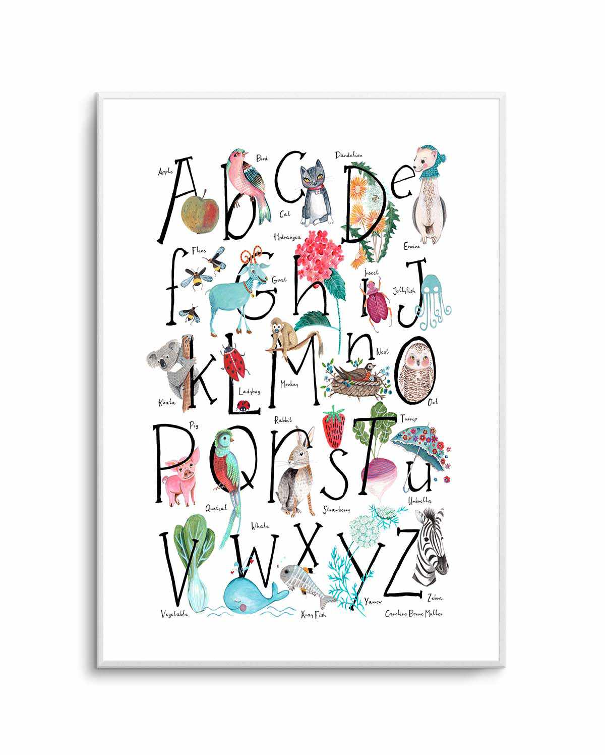 ABC illustration by Caroline Bonne Muller | Art Print