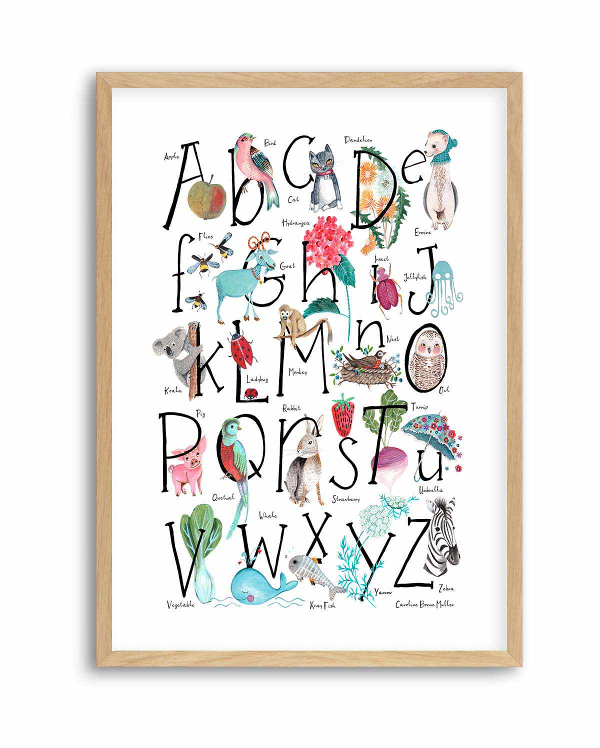 ABC illustration by Caroline Bonne Muller | Art Print