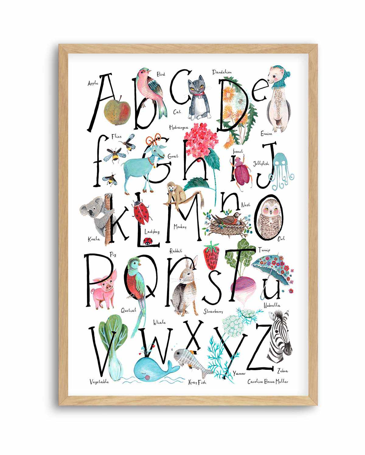 ABC illustration by Caroline Bonne Muller | Art Print