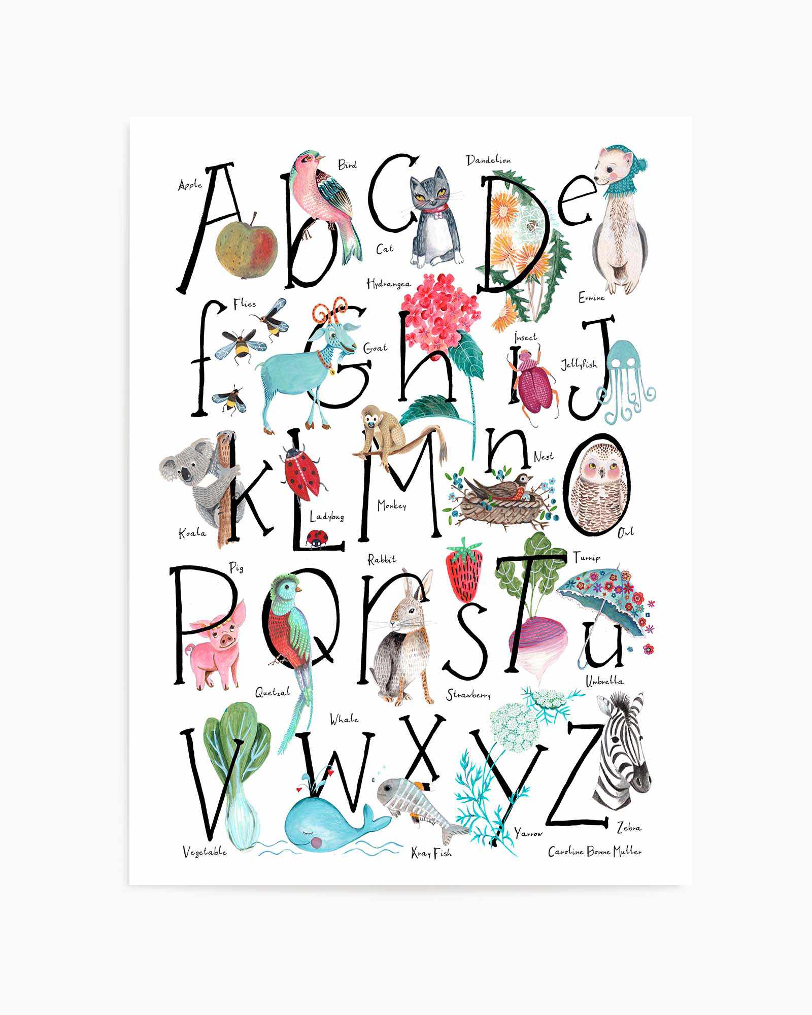 ABC illustration by Caroline Bonne Muller | Art Print