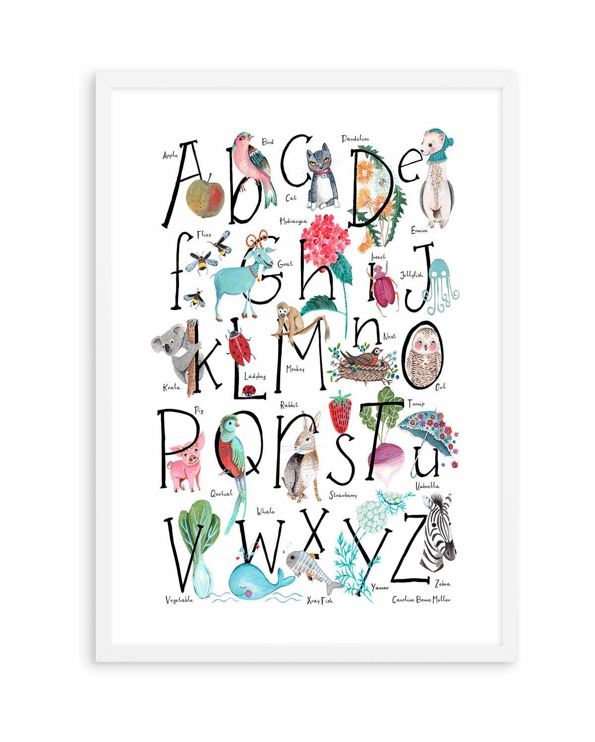 ABC illustration by Caroline Bonne Muller | Art Print