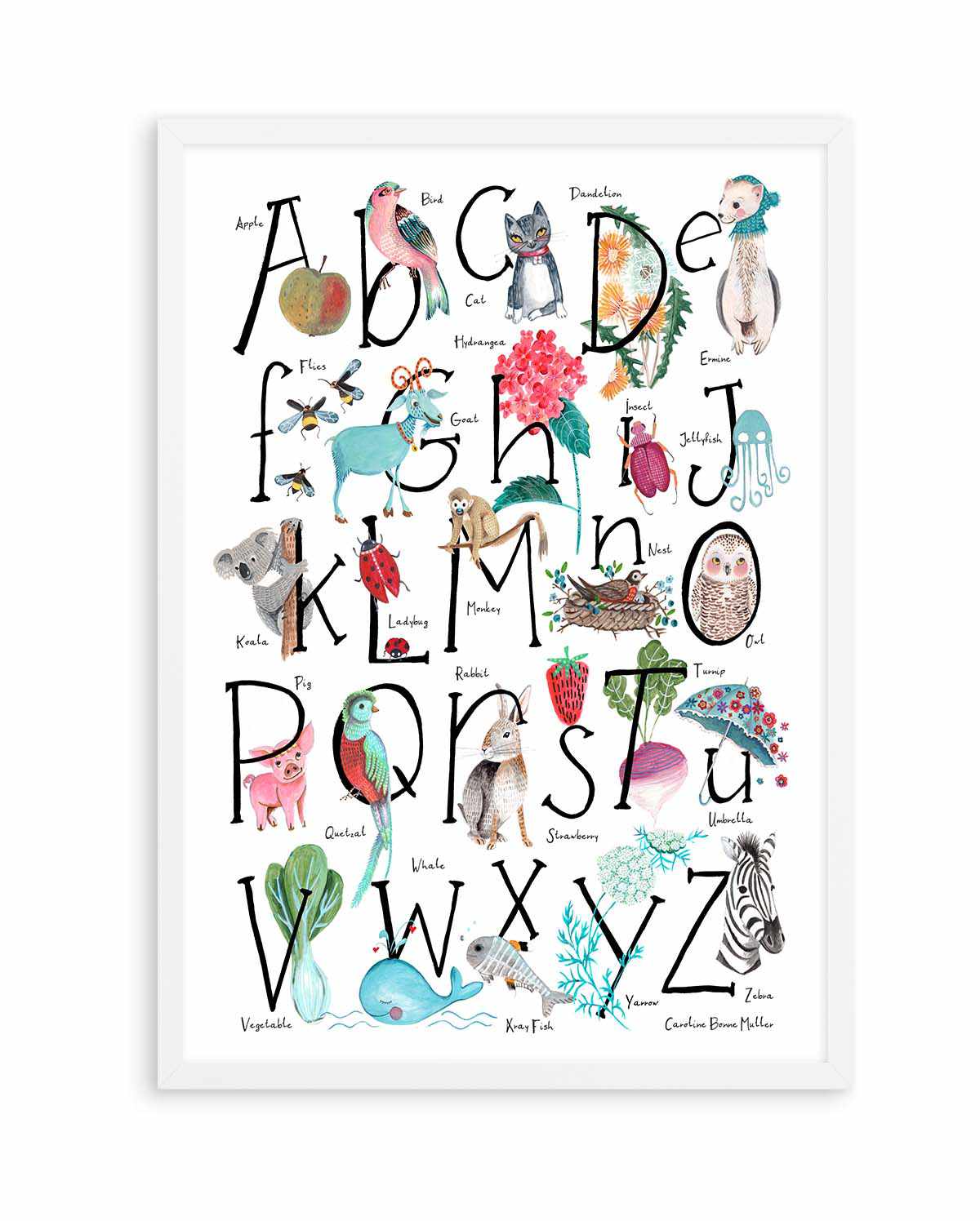 ABC illustration by Caroline Bonne Muller | Art Print