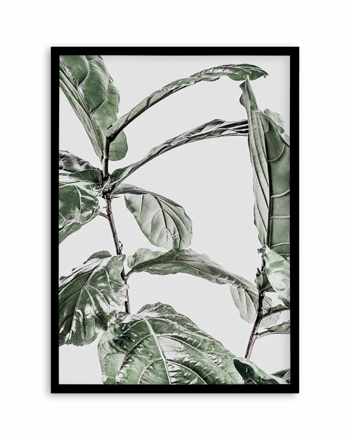 Abstract Fig I Art Print