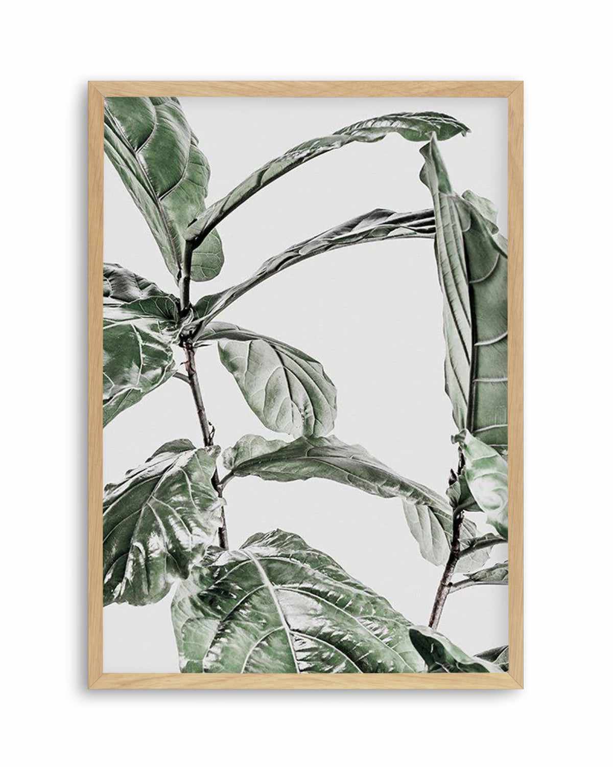 Abstract Fig I Art Print