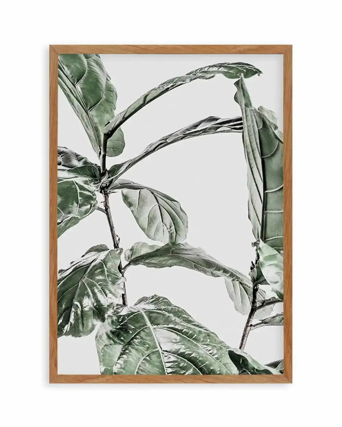 Abstract Fig I Art Print from Olive et Oriel where you can shop wallpaper and artworks online