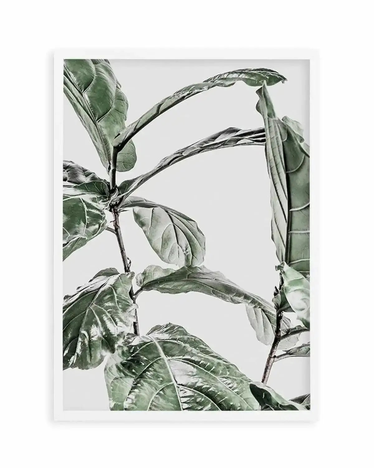 Abstract Fig I Art Print from Olive et Oriel where you can shop wallpaper and artworks online