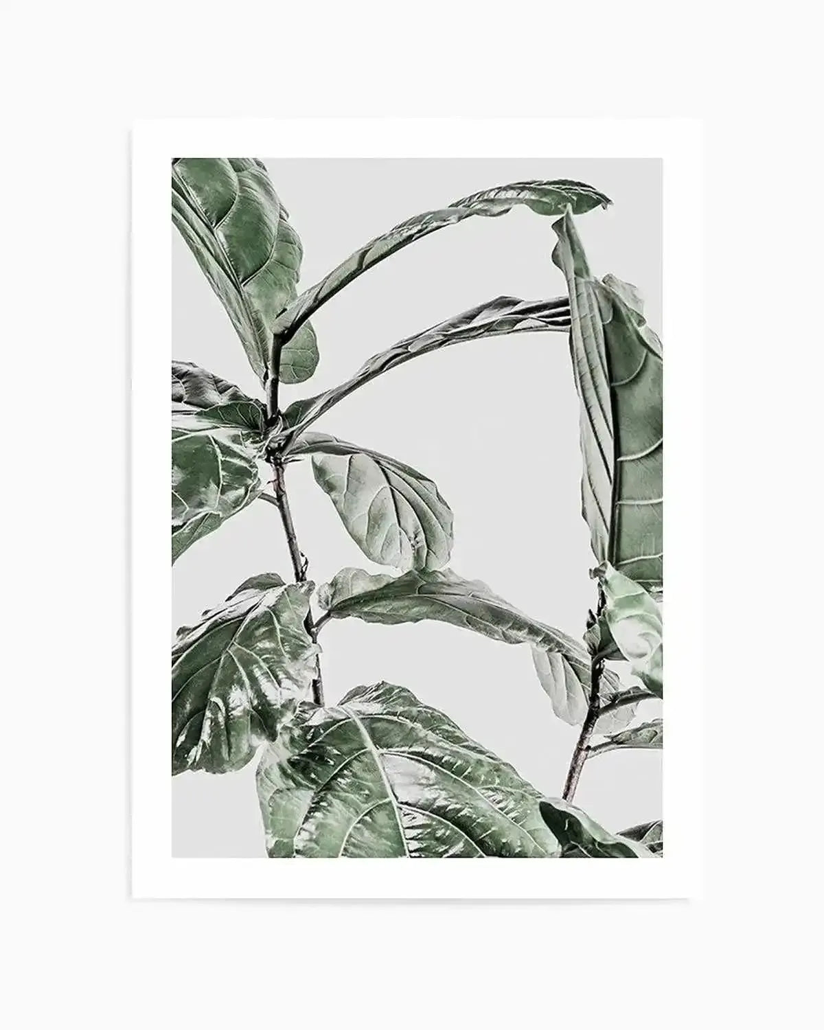 Abstract Fig I Art Print from Olive et Oriel where you can shop wallpaper and artworks online