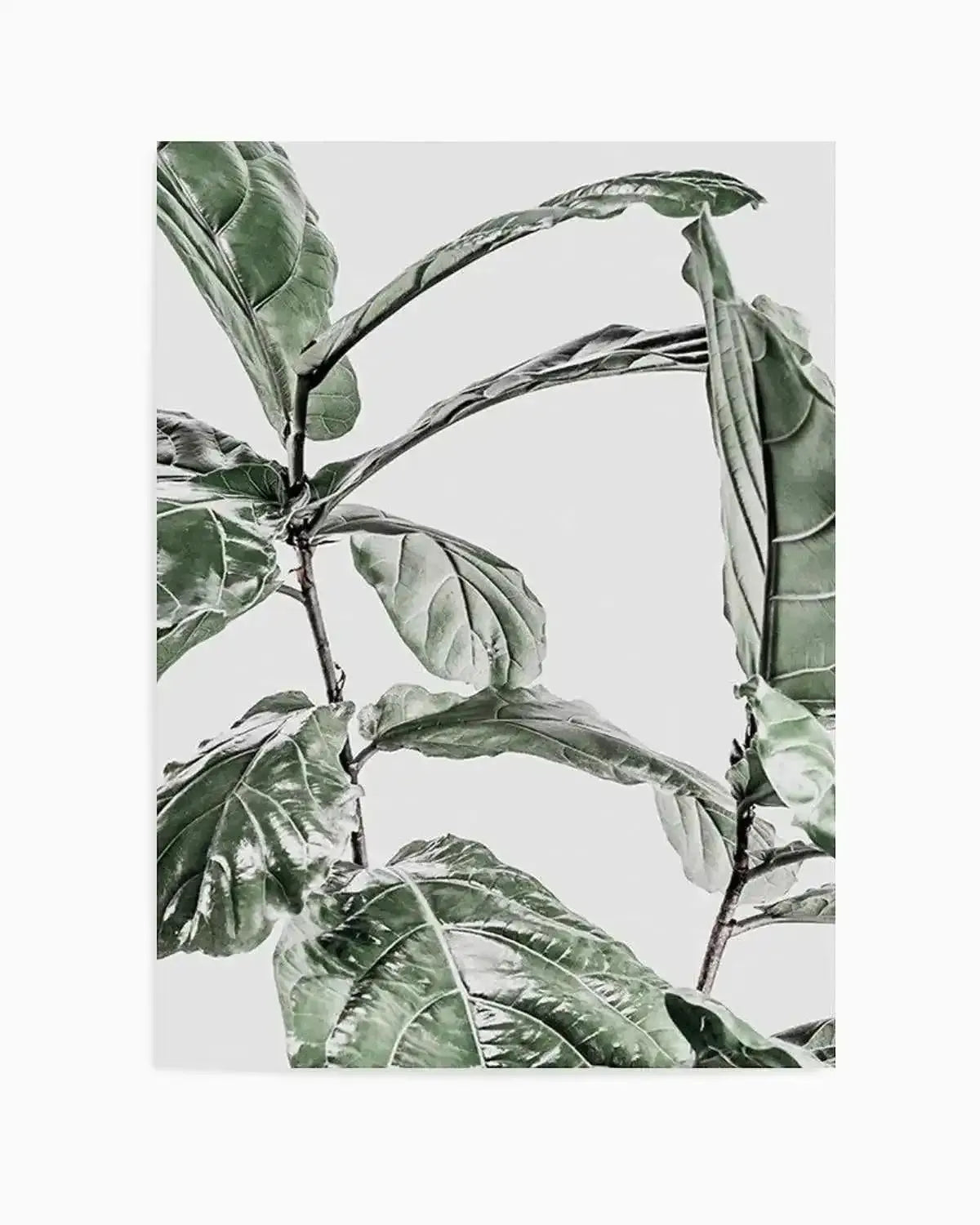 Abstract Fig I Art Print from Olive et Oriel where you can shop wallpaper and artworks online