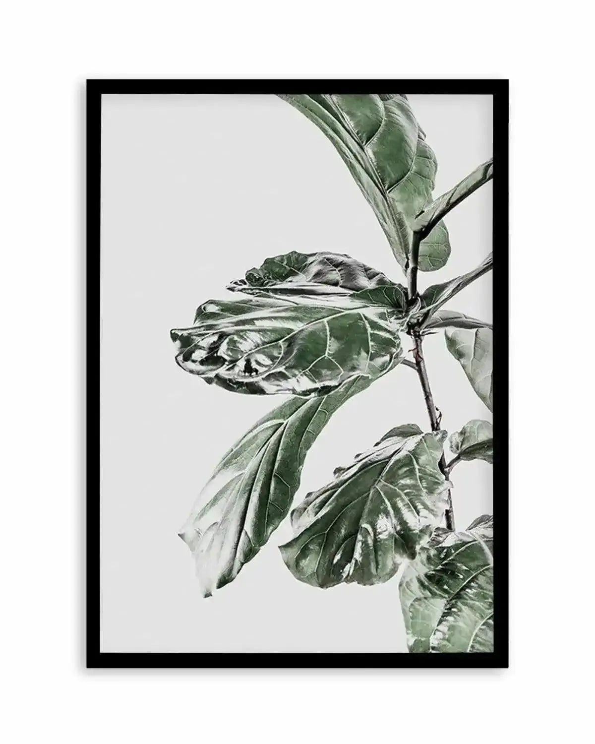 Abstract Fig II Art Print from Olive et Oriel where you can shop wallpaper and artworks online