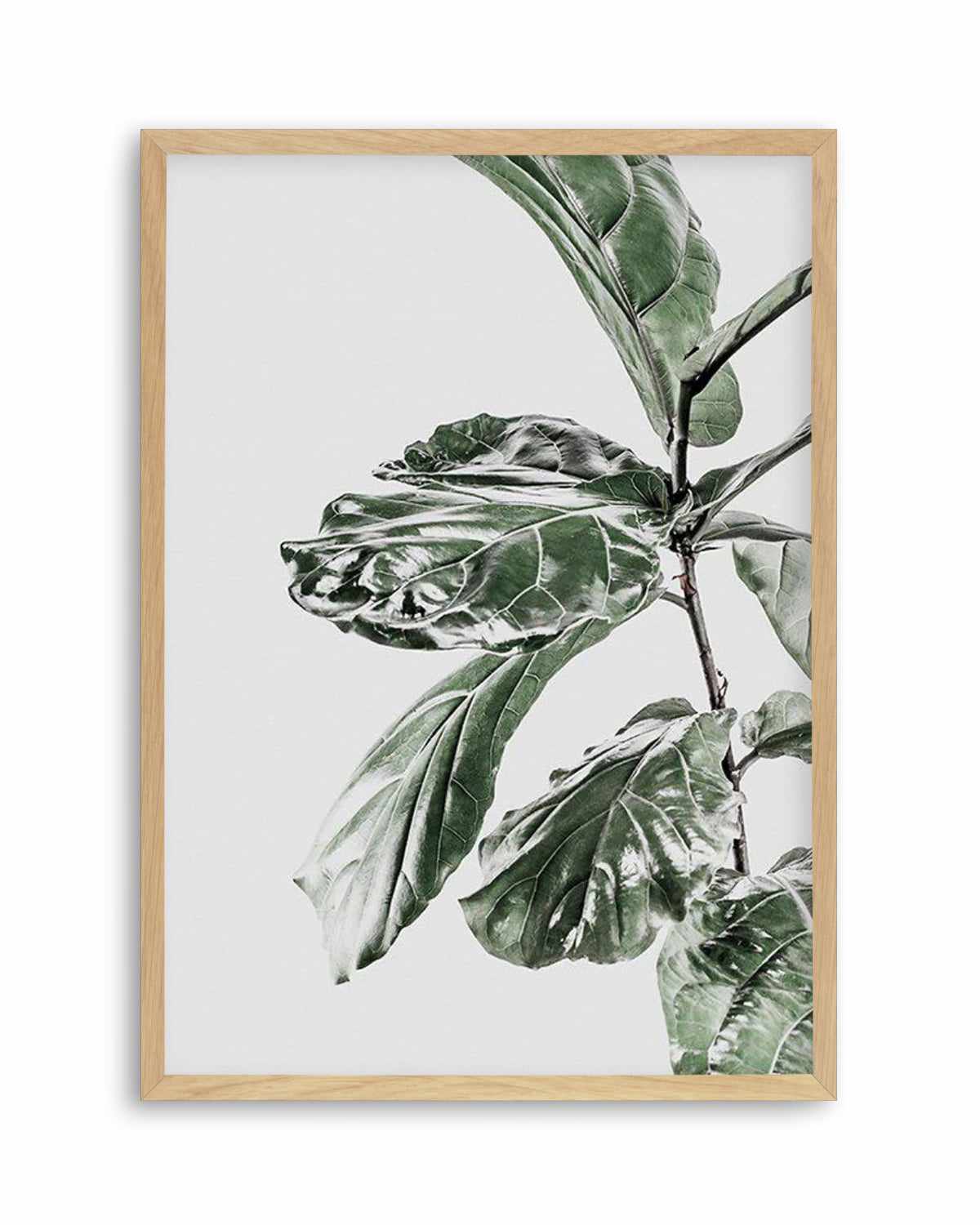 Abstract Fig II Art Print