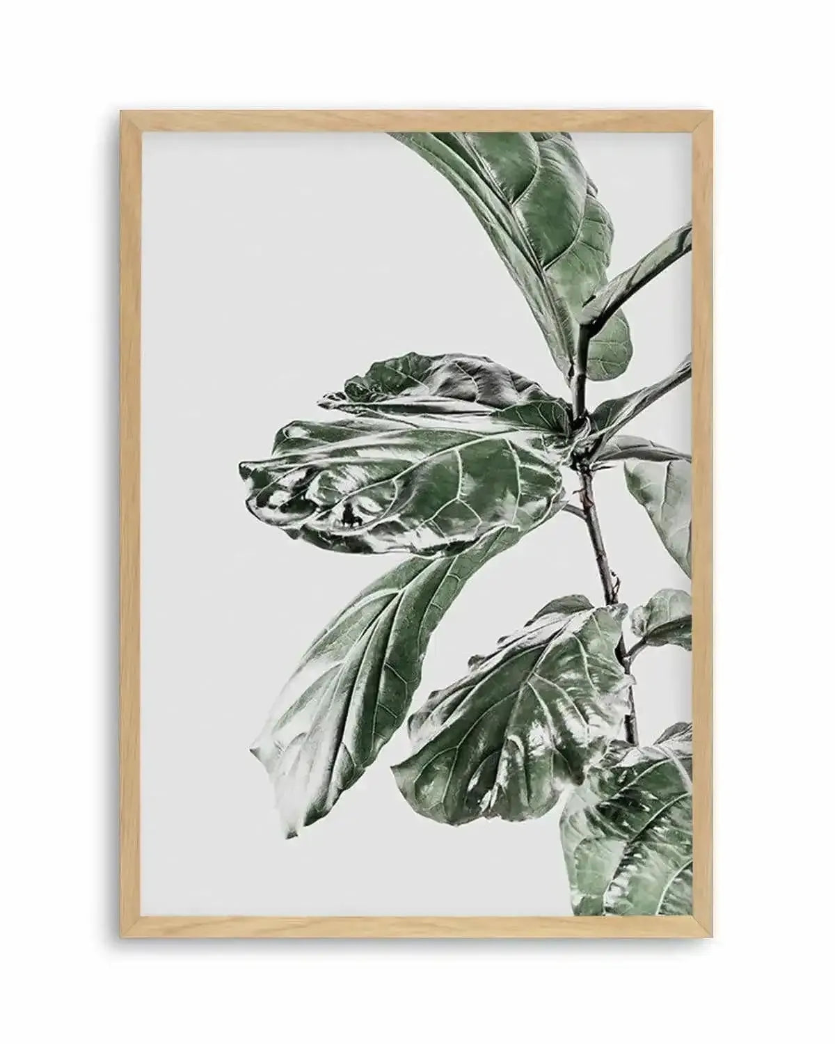 Abstract Fig II Art Print from Olive et Oriel where you can shop wallpaper and artworks online