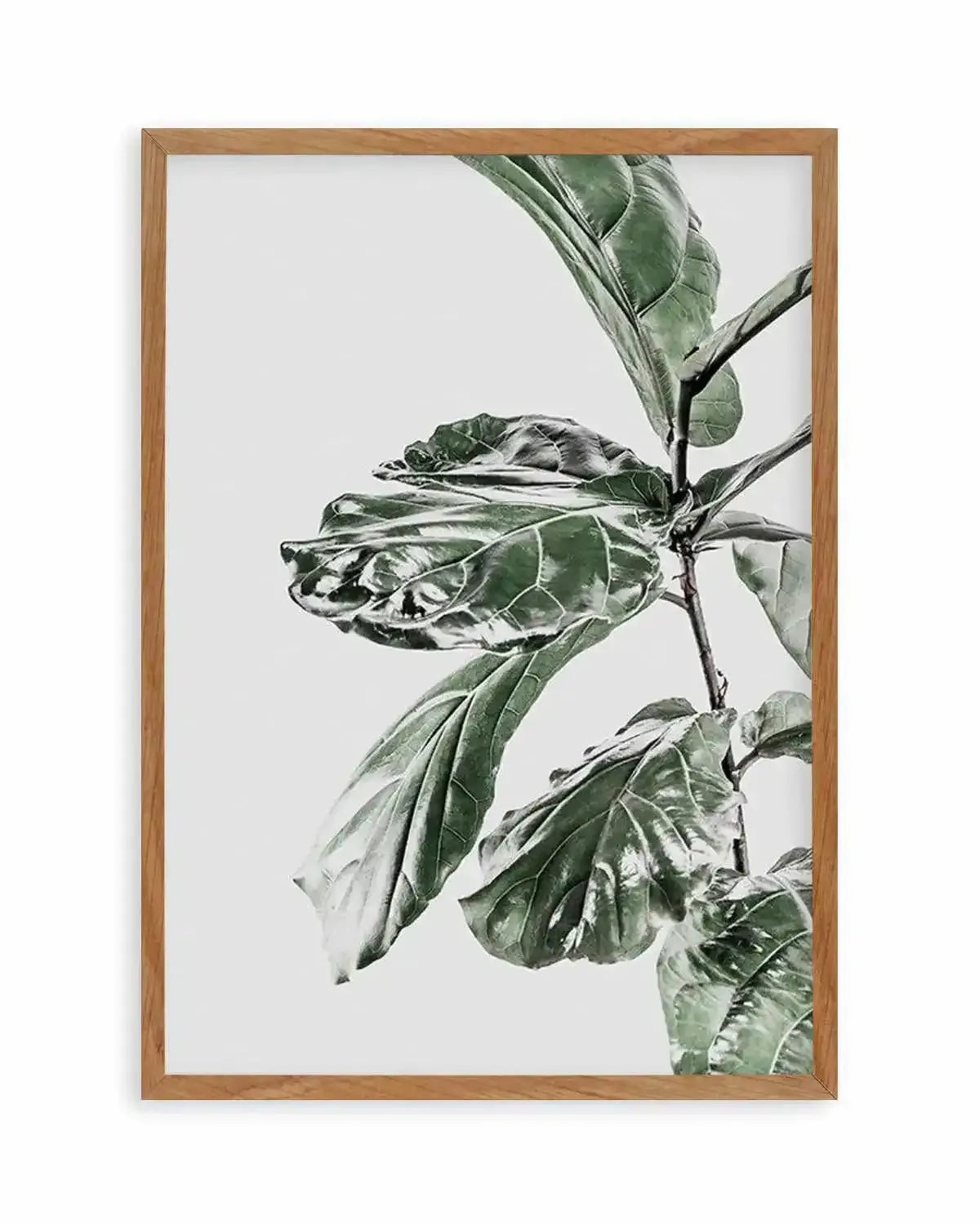 Abstract Fig II Art Print from Olive et Oriel where you can shop wallpaper and artworks online