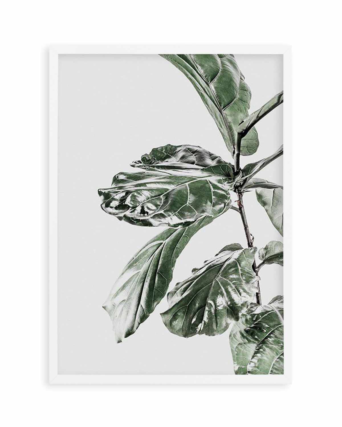 Abstract Fig II Art Print