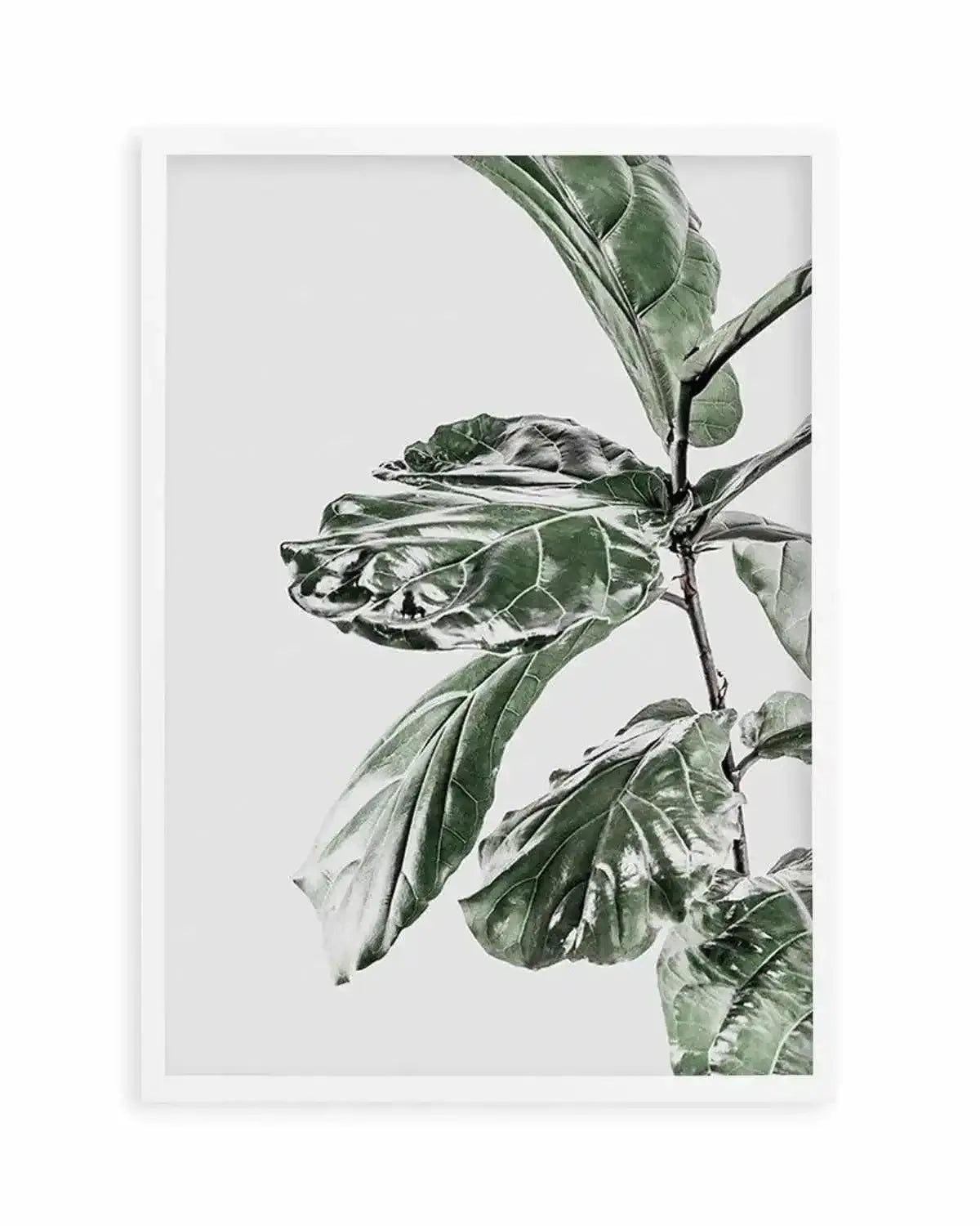 Abstract Fig II Art Print from Olive et Oriel where you can shop wallpaper and artworks online