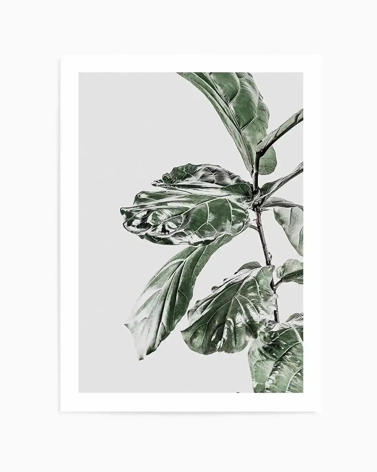 Abstract Fig II Art Print from Olive et Oriel where you can shop wallpaper and artworks online