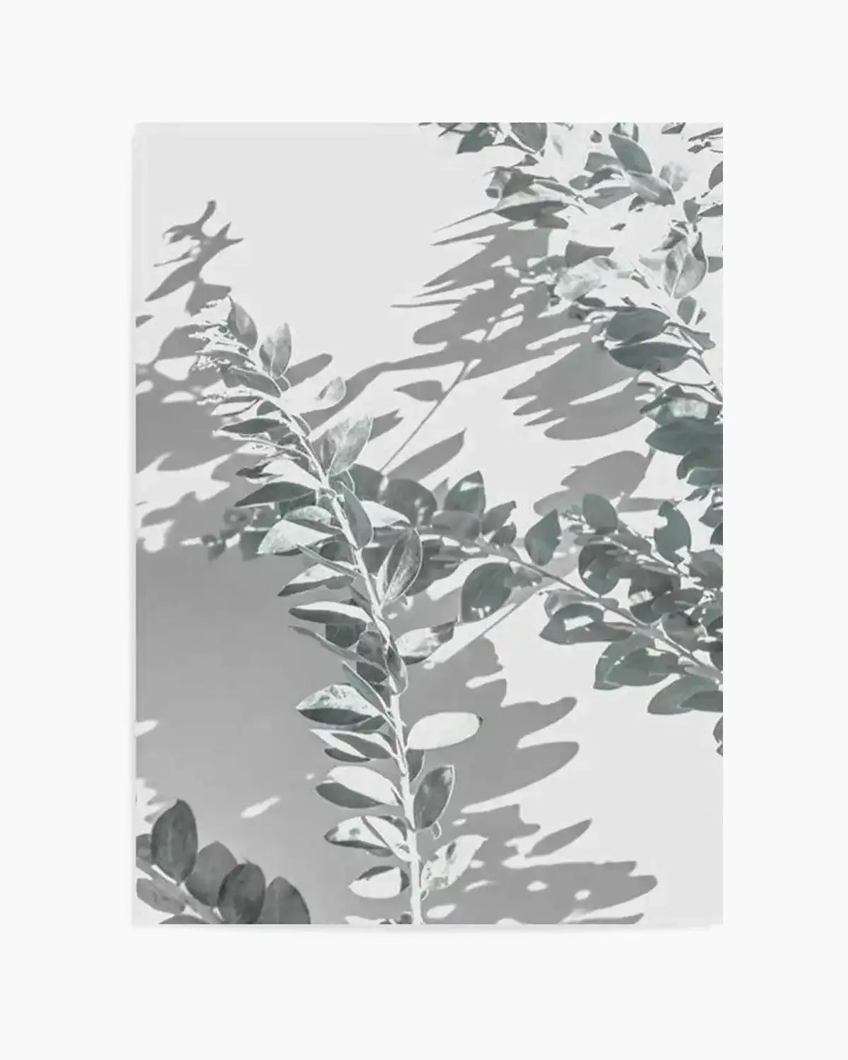 Abstract Leaves II Art Print from Olive et Oriel where you can shop wallpaper and artworks online