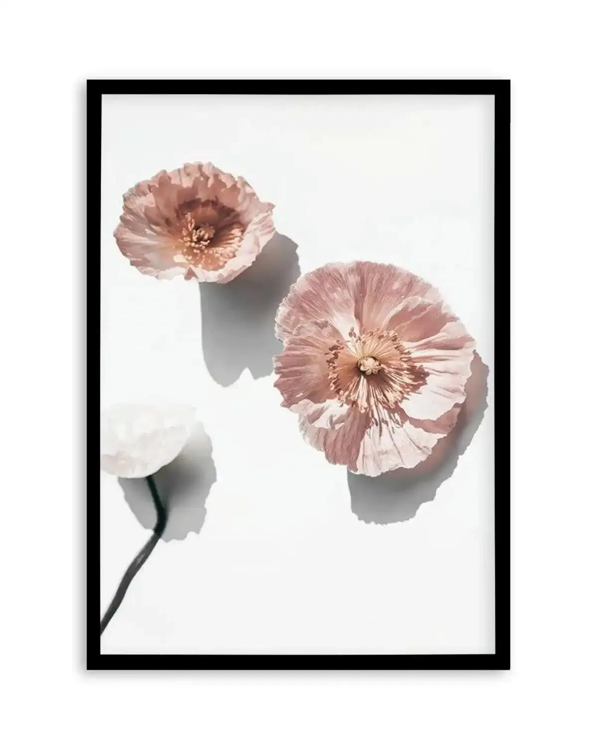 Abstract Poppies I Art Print from Olive et Oriel where you can shop wallpaper and artworks online