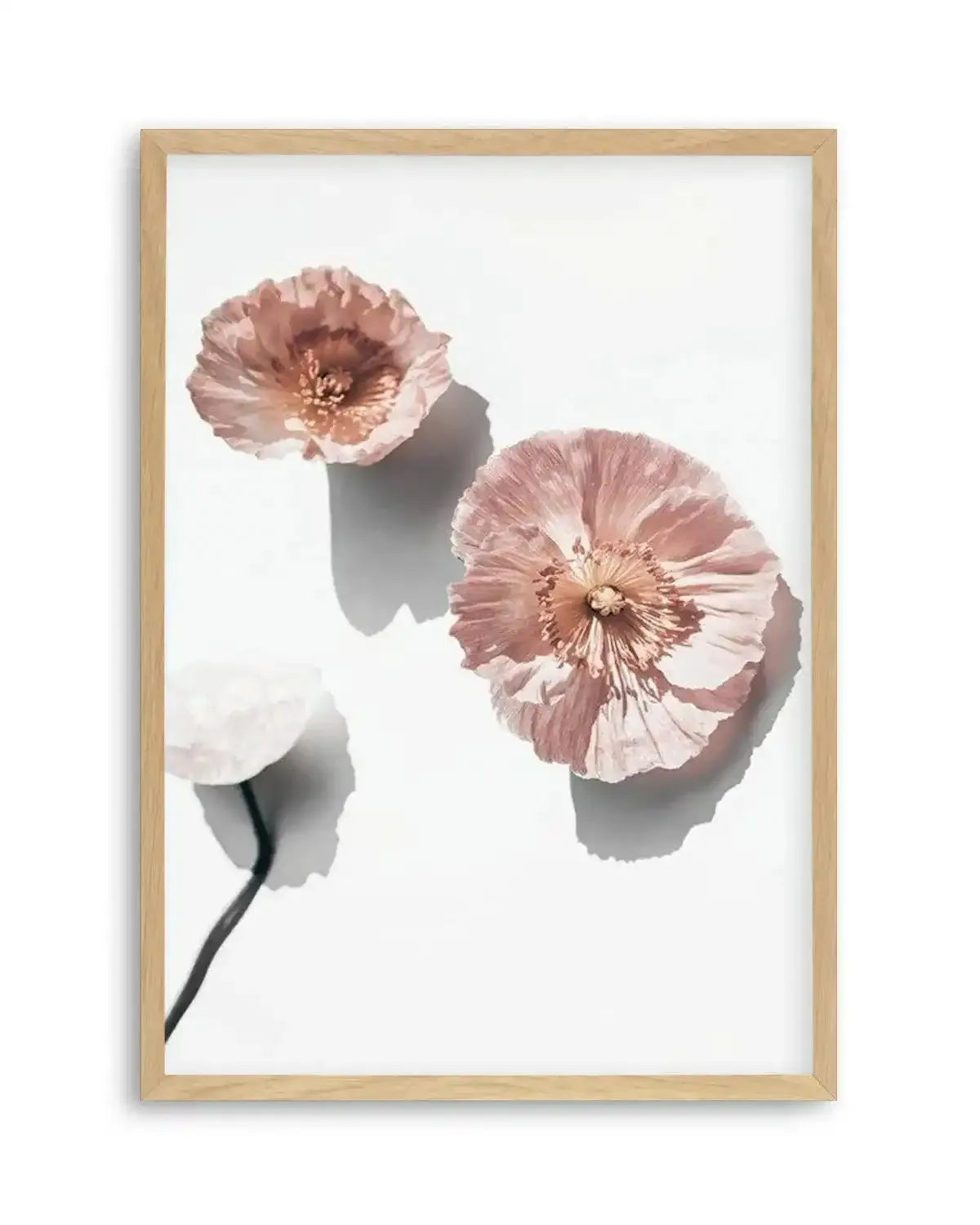 Abstract Poppies I Art Print from Olive et Oriel where you can shop wallpaper and artworks online