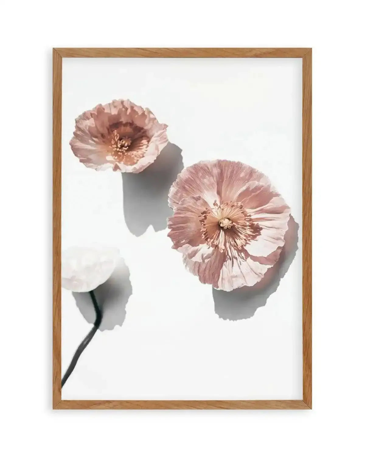 Abstract Poppies I Art Print from Olive et Oriel where you can shop wallpaper and artworks online