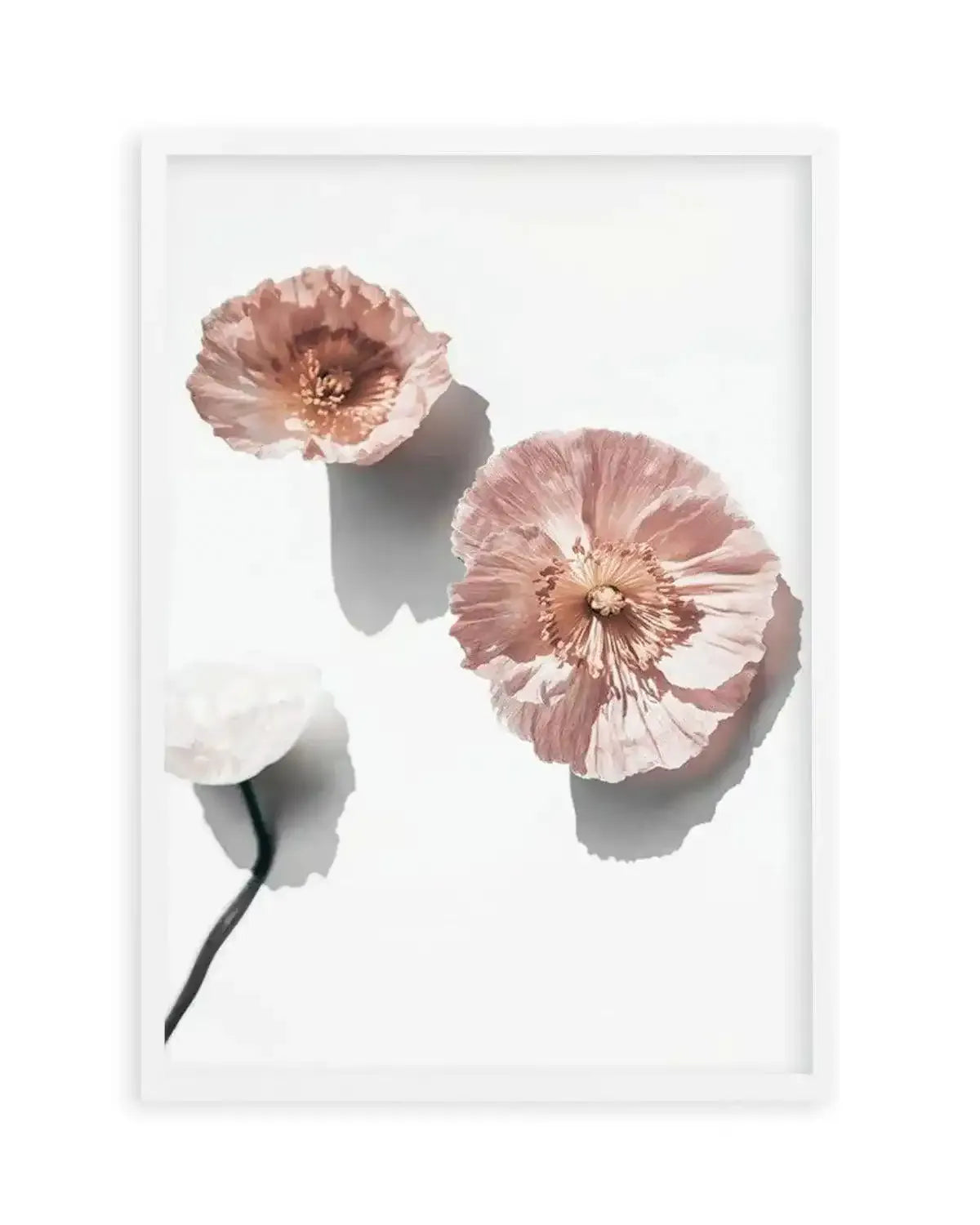 Abstract Poppies I Art Print from Olive et Oriel where you can shop wallpaper and artworks online