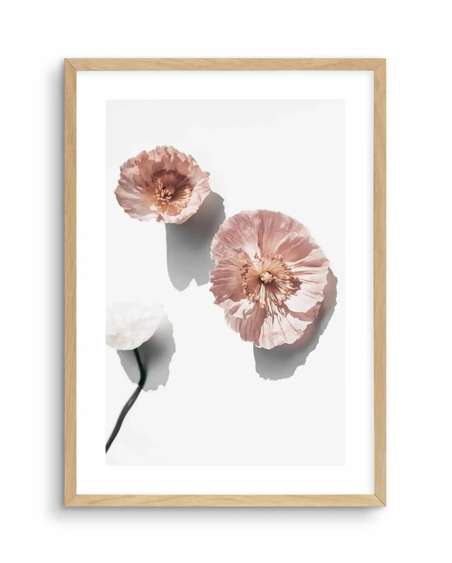 Abstract Poppies I Art Print-Buy-Bohemian-Wall-Art-Print-And-Boho-Pictures-from-Olive-et-Oriel-Bohemian-Wall-Art-Print-And-Boho-Pictures-And-Also-Boho-Abstract-Art-Paintings-On-Canvas-For-A-Girls-Bedroom-Wall-Decor-Collection-of-Boho-Style-Feminine-Art-Poster-and-Framed-Artwork-Update-Your-Home-Decorating-Style-With-These-Beautiful-Wall-Art-Prints-Australia