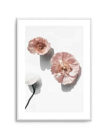 Framed art print featuring a minimalist still life photograph of three poppy flowers on a bright white background, with a white frame and white border. Two poppies are in the upper right, with ruffled petals in shades of dusty rose and pale pink, casting soft grey shadows. A third white poppy with a dark stem is partially visible in the lower left.