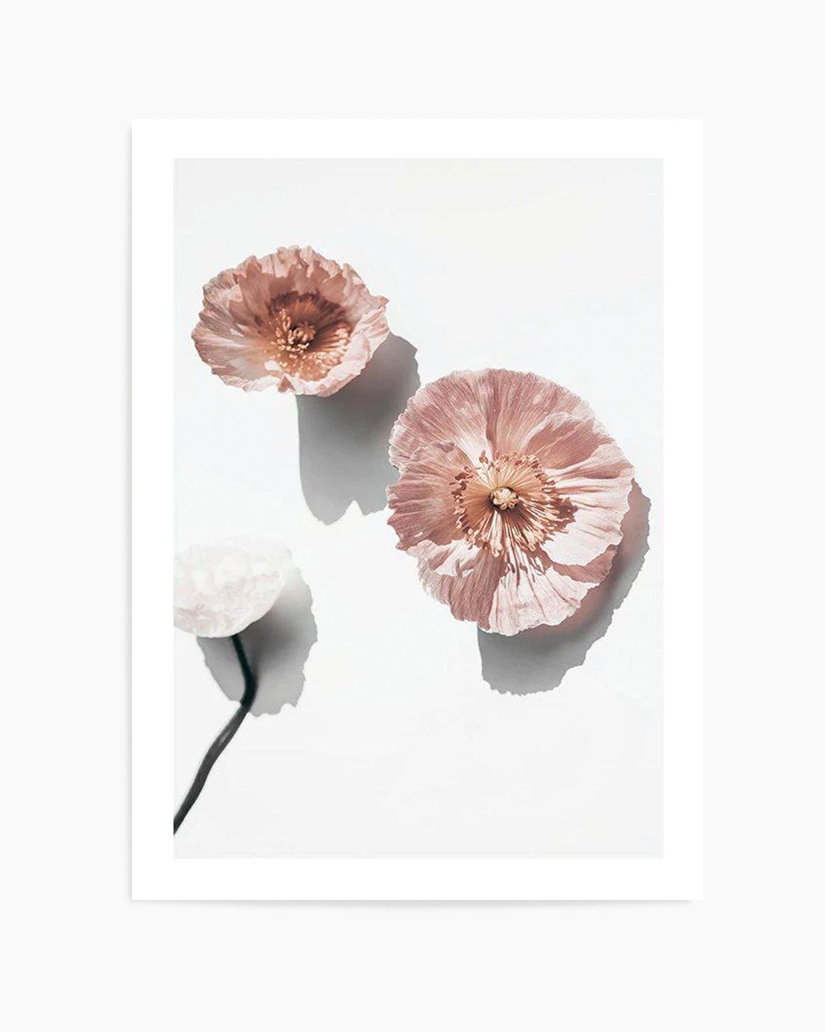 Abstract Poppies I Art Print