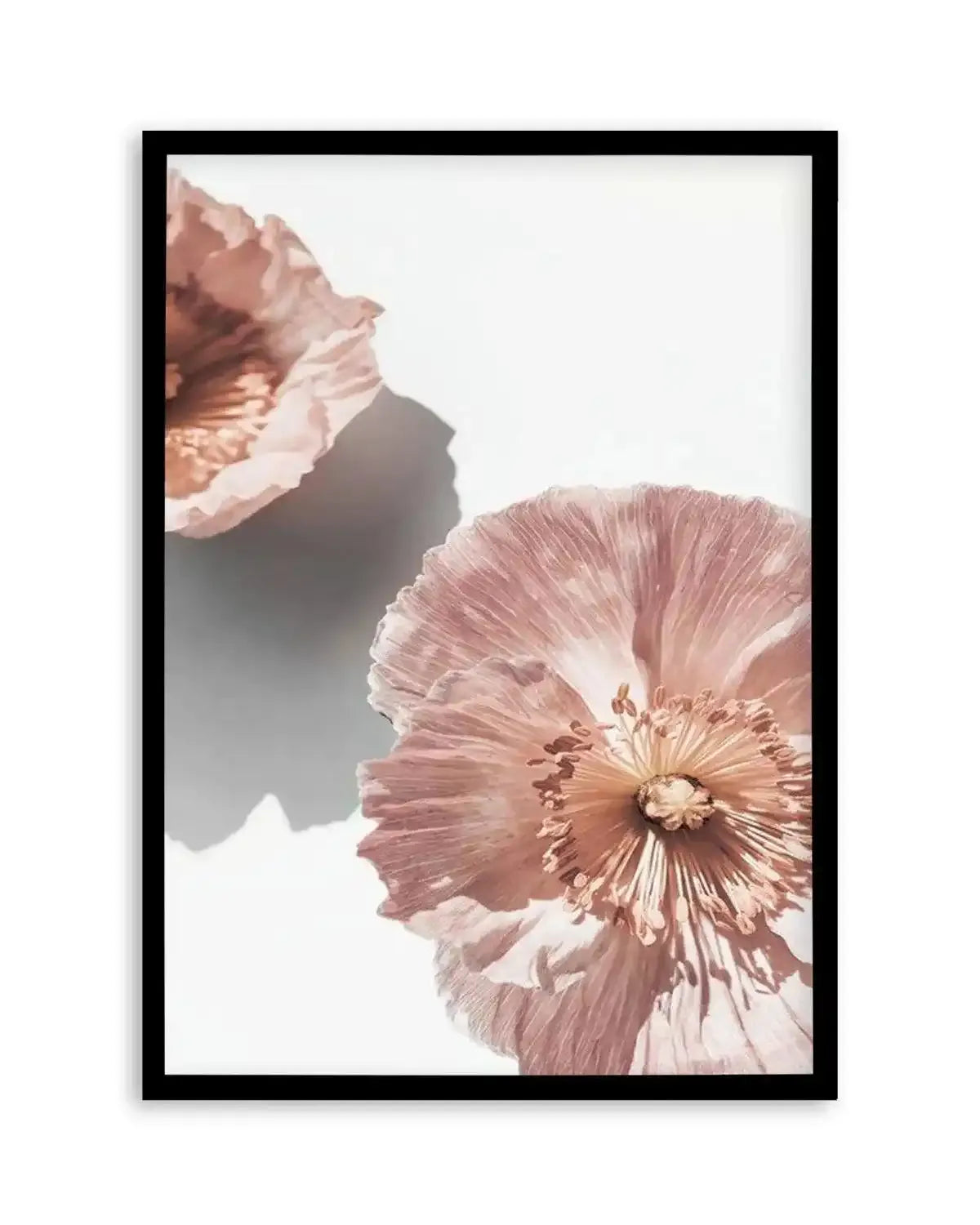 Abstract Poppies II Art Print from Olive et Oriel where you can shop wallpaper and artworks online