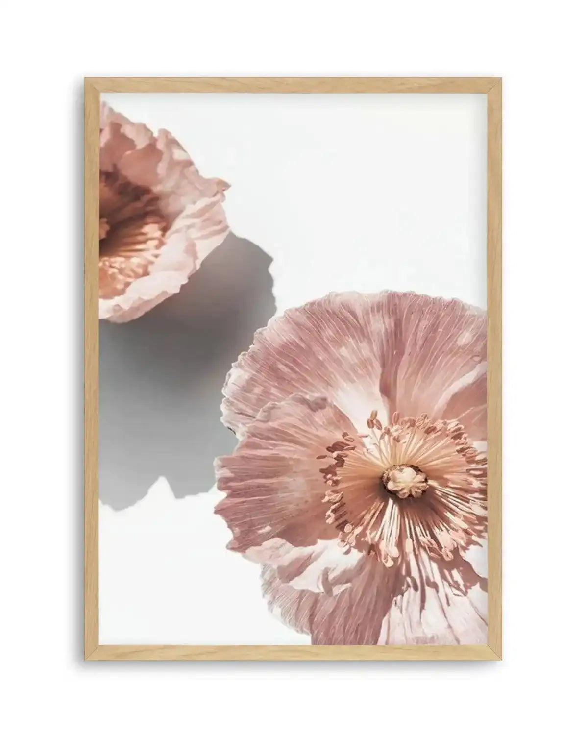 Abstract Poppies II Art Print from Olive et Oriel where you can shop wallpaper and artworks online