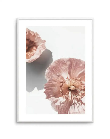 Abstract Poppies II art print in a light gray frame displaying two delicate poppy flowers in soft dusty rose and mauve tones against a cream background. The flowers feature layered, translucent petals with fine textural detail and golden-brown centers. The composition shows an artistic, close-up view with one bloom in sharp focus in the foreground and another softly blurred above it. The print includes a white border and is mounted in a slim silver-gray frame.