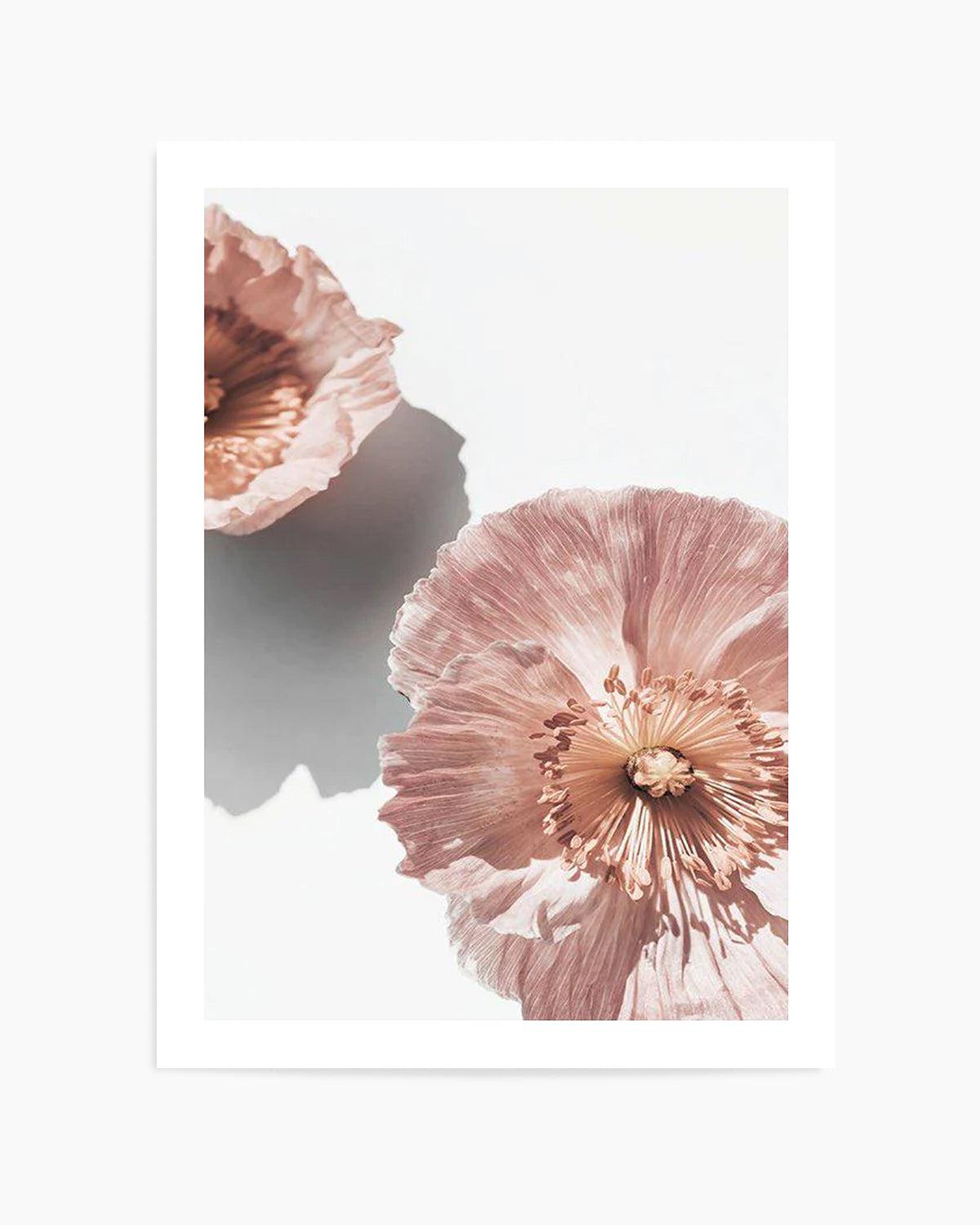 Abstract Poppies II Art Print