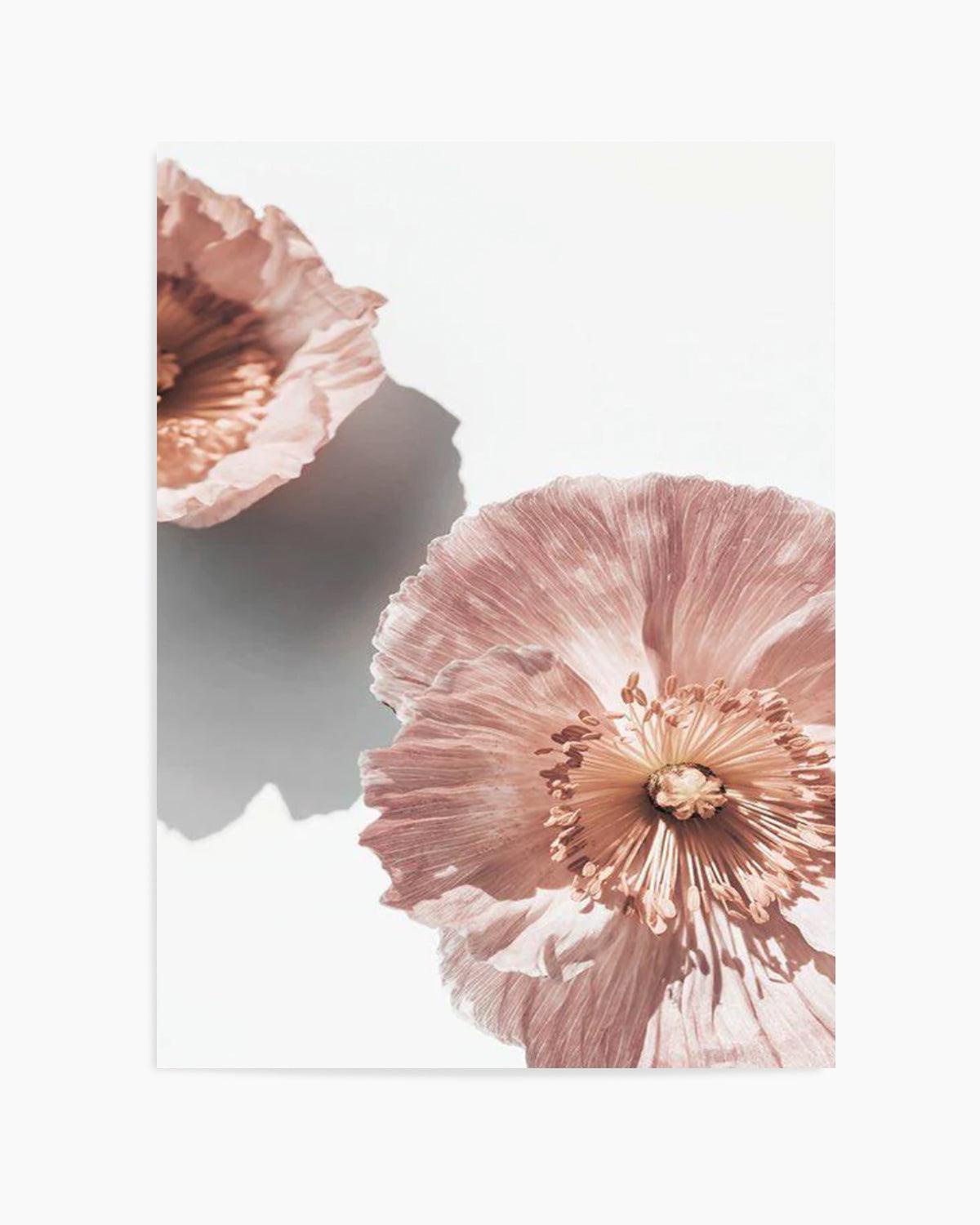 Abstract Poppies II Art Print