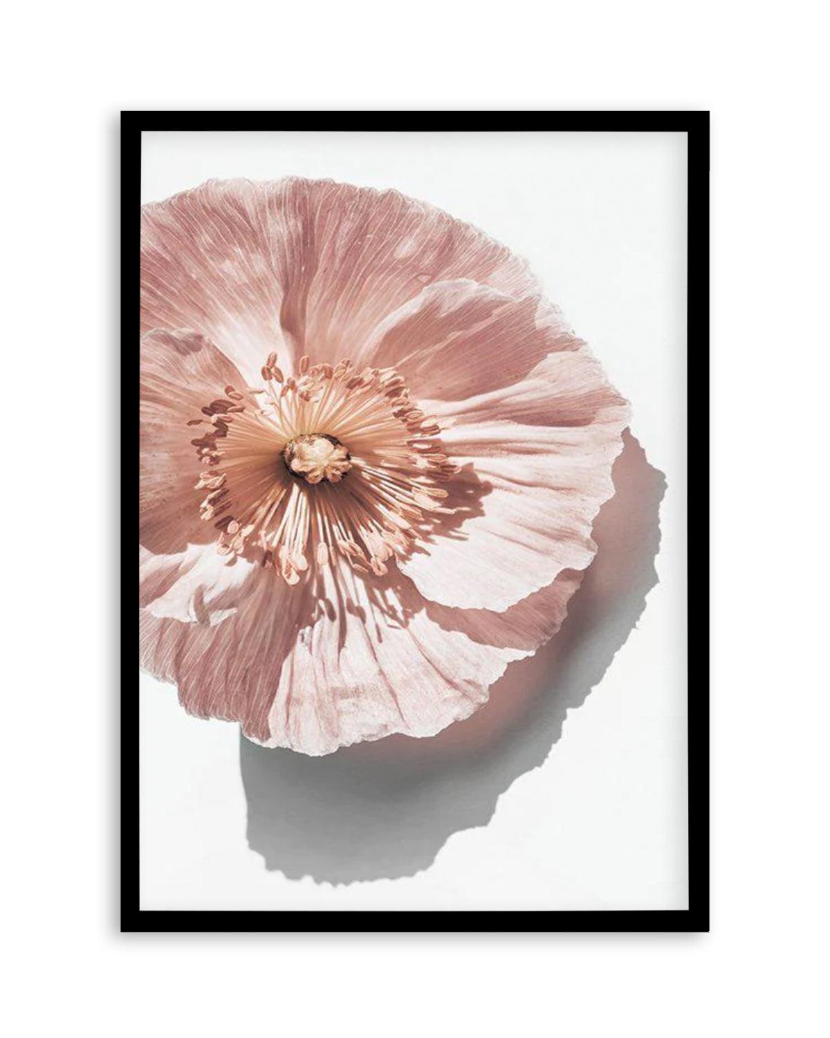 Abstract Poppies III Art Print