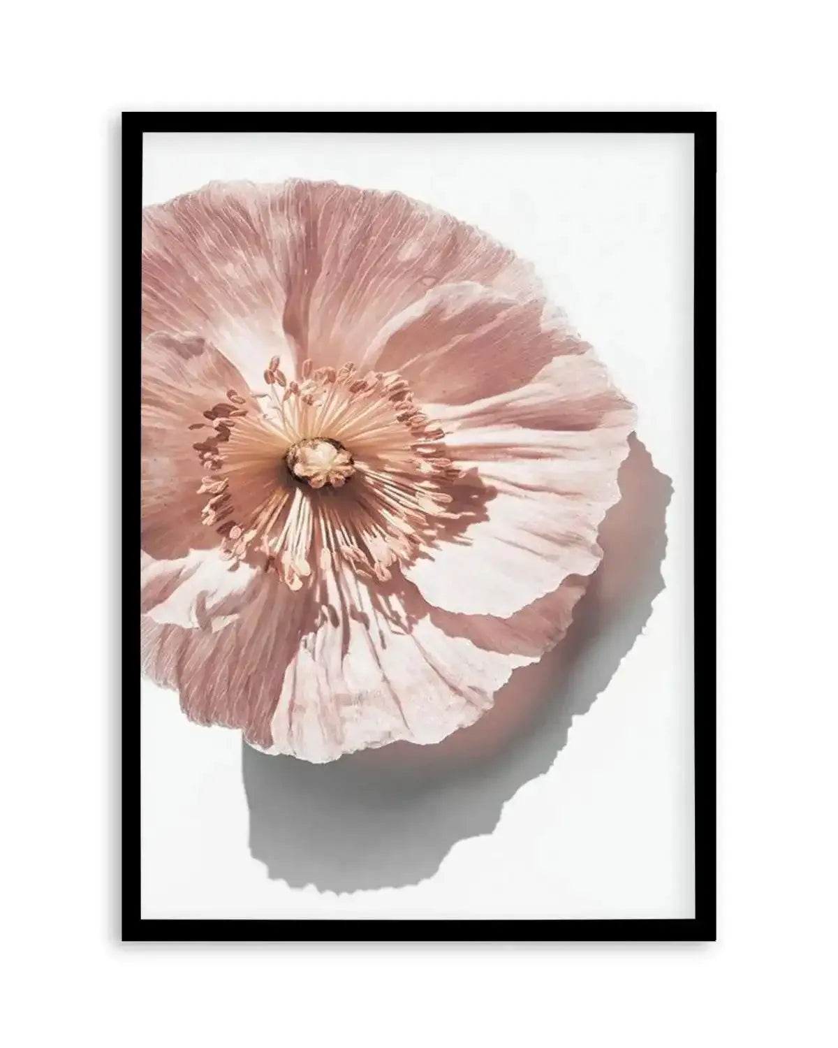 Abstract Poppies III Art Print from Olive et Oriel where you can shop wallpaper and artworks online