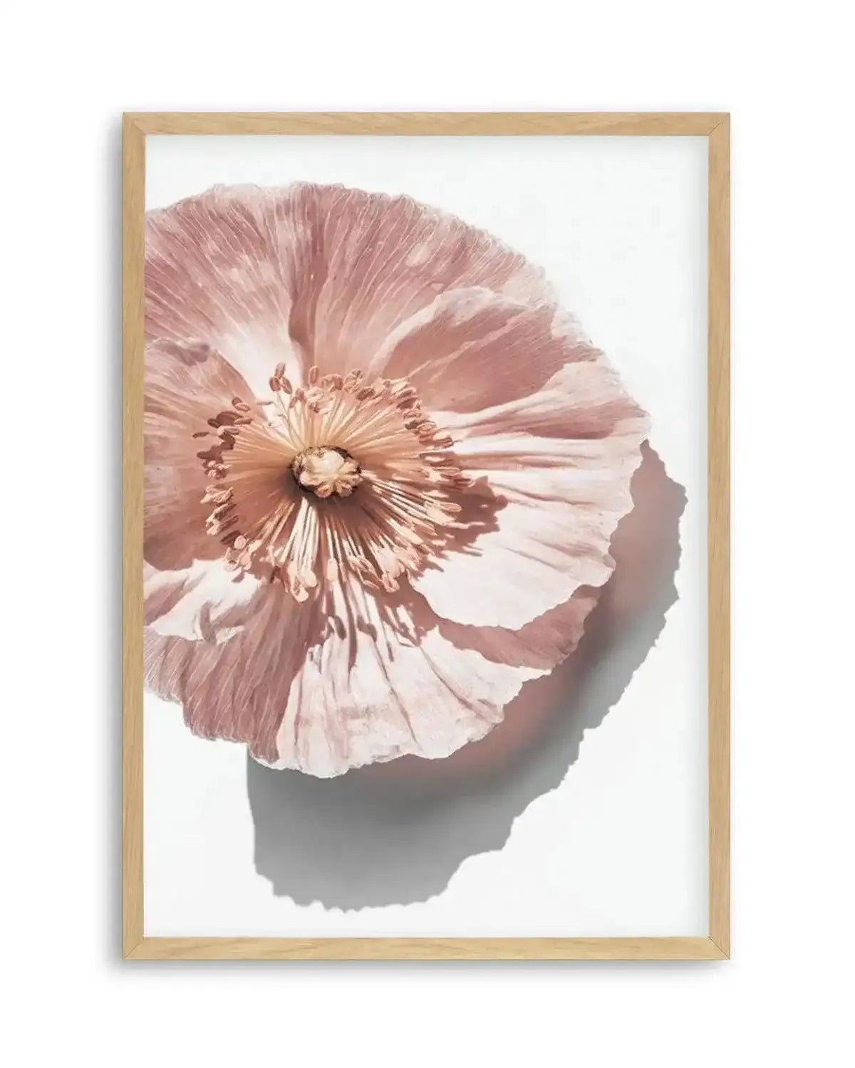 Abstract Poppies III Art Print from Olive et Oriel where you can shop wallpaper and artworks online