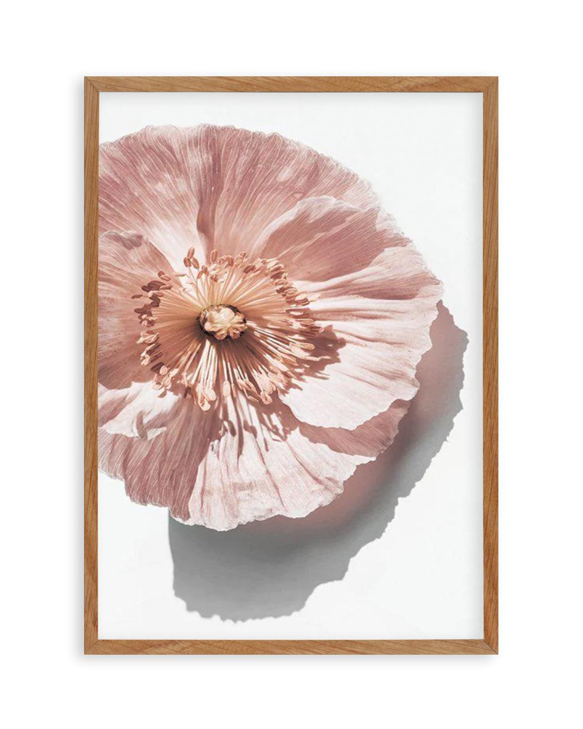 Abstract Poppies III Art Print