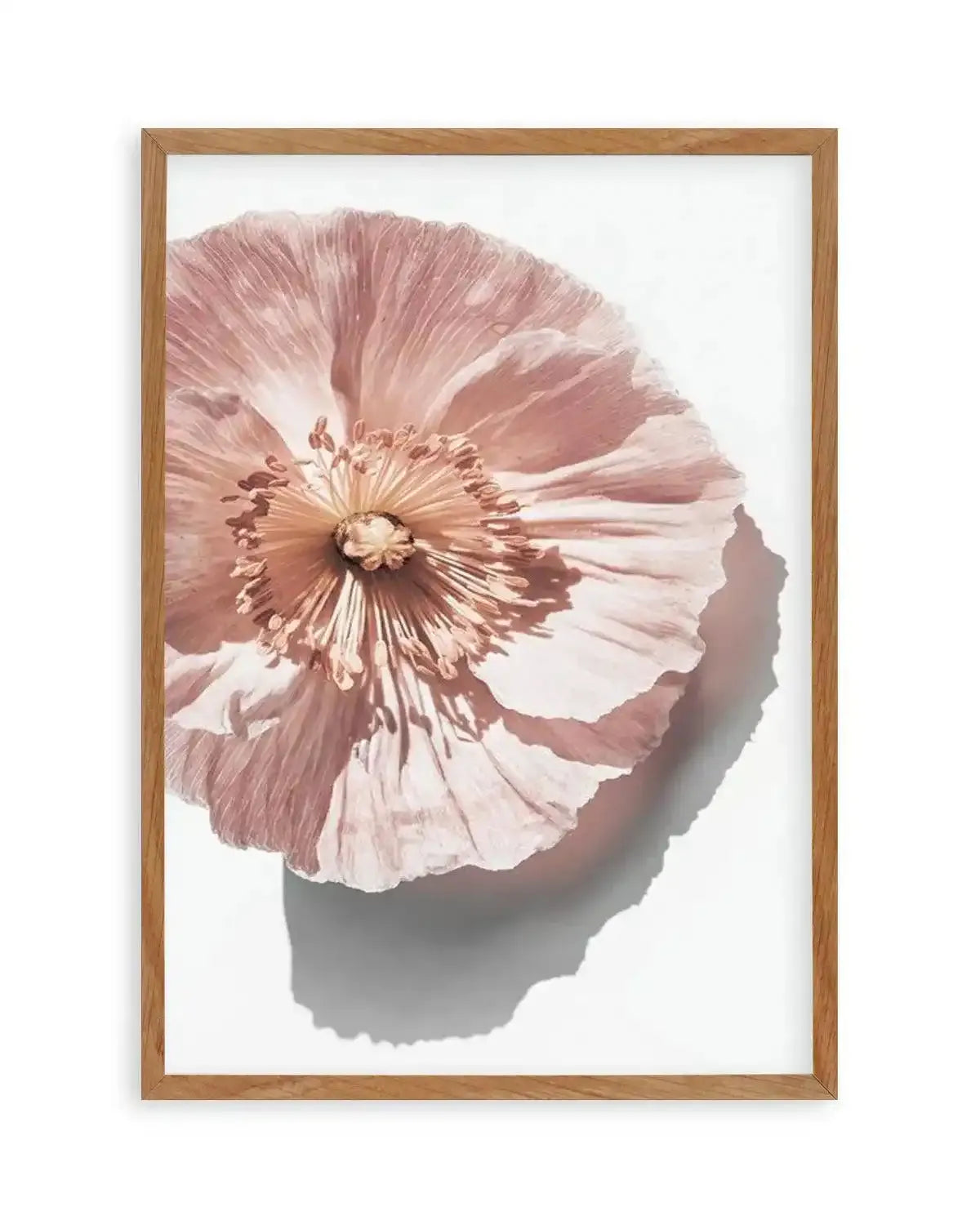 Abstract Poppies III Art Print from Olive et Oriel where you can shop wallpaper and artworks online