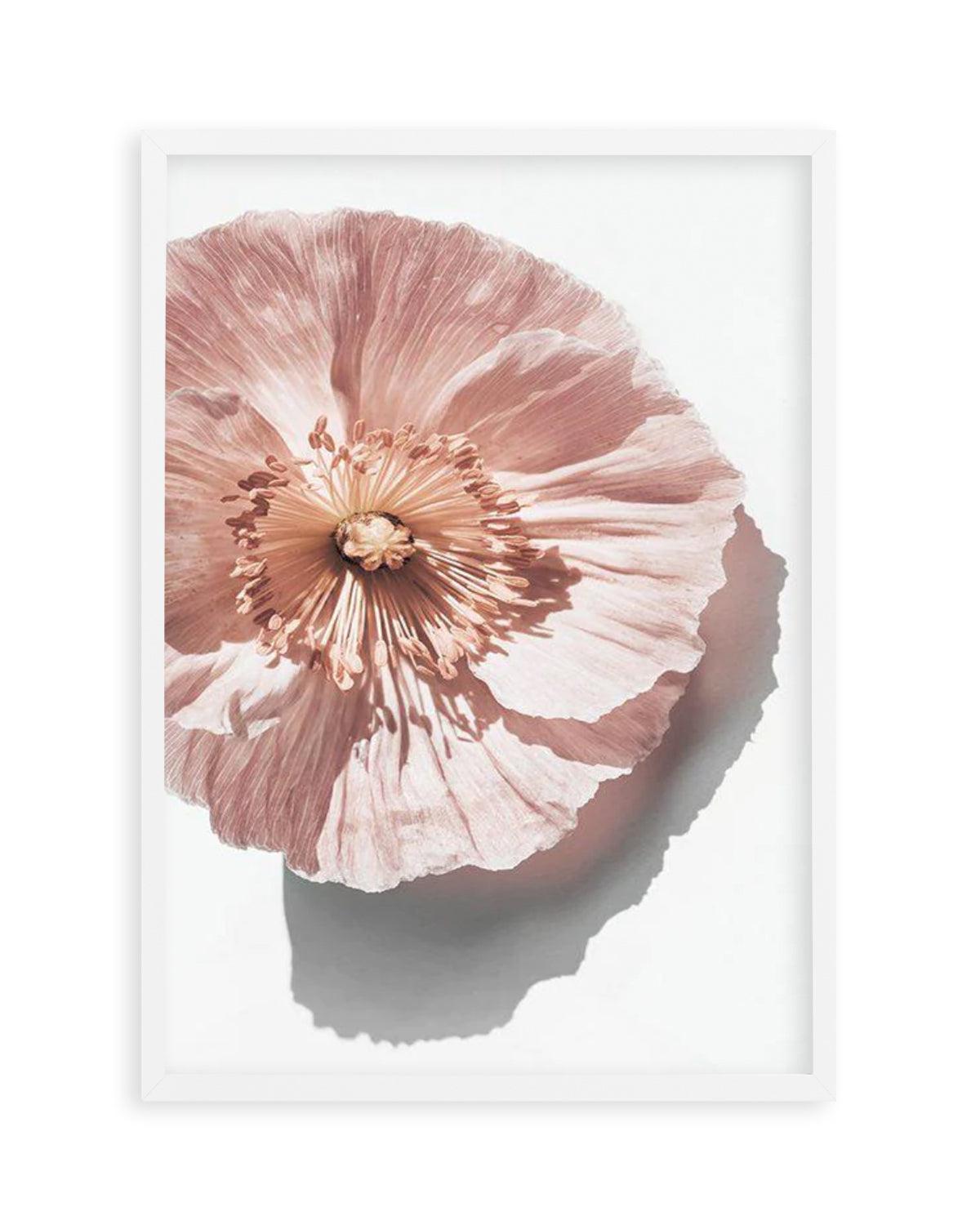 Abstract Poppies III Art Print