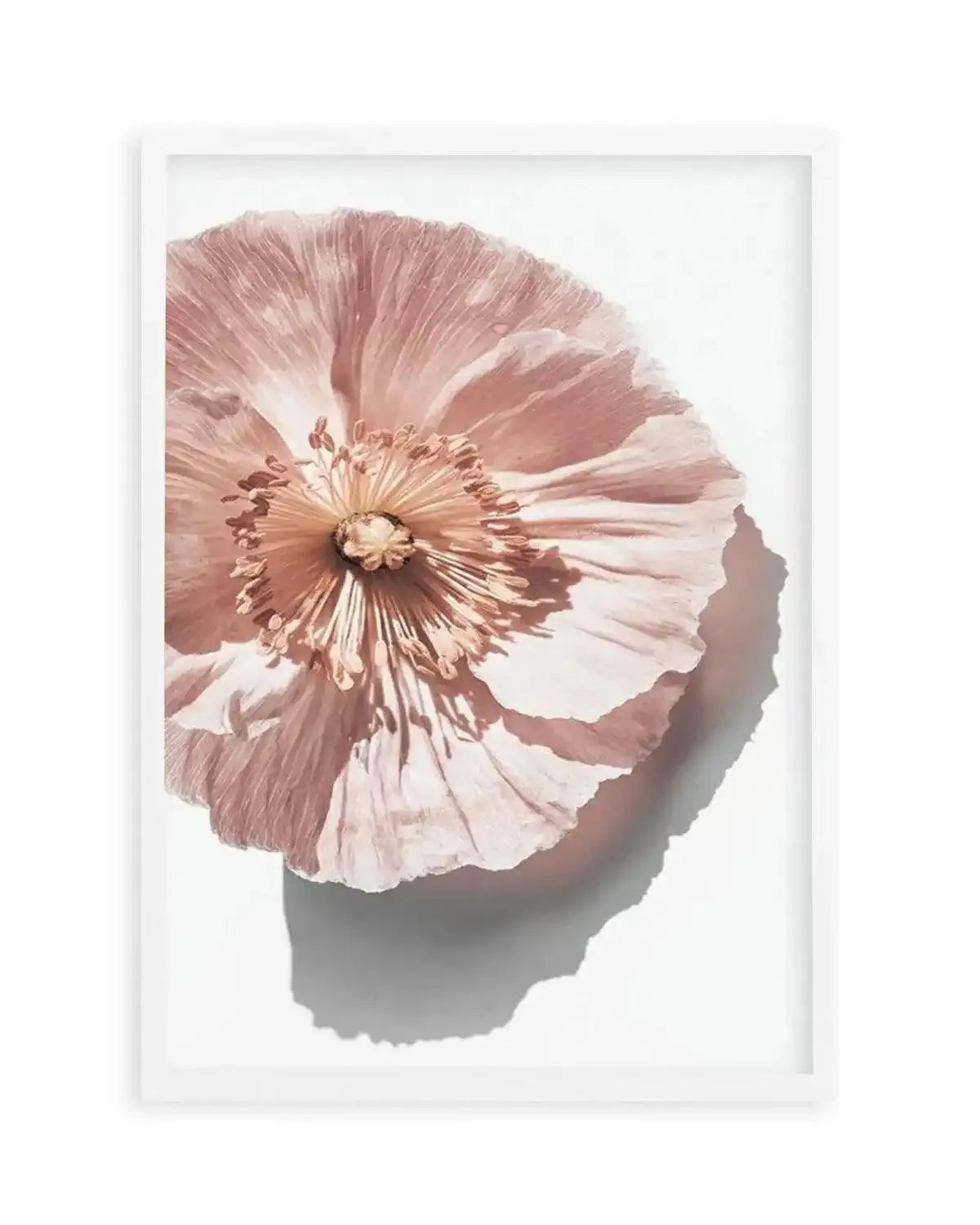 Abstract Poppies III Art Print from Olive et Oriel where you can shop wallpaper and artworks online