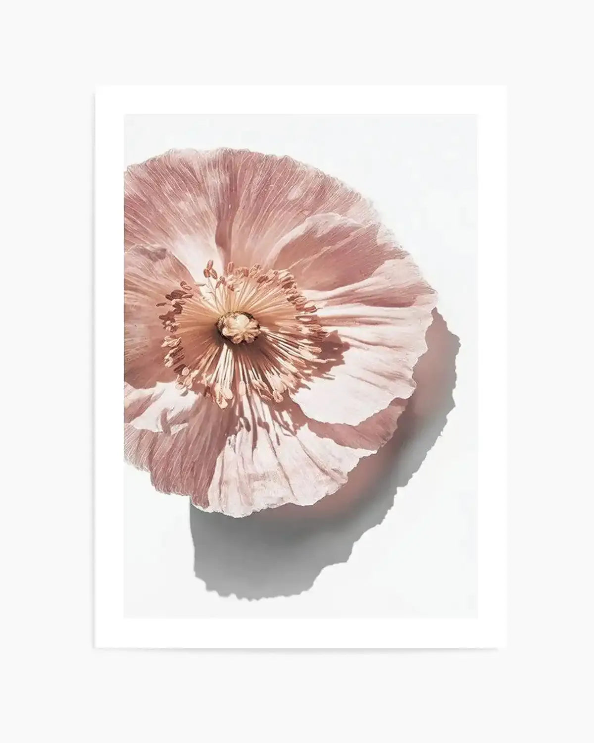 Abstract Poppies III Art Print from Olive et Oriel where you can shop wallpaper and artworks online