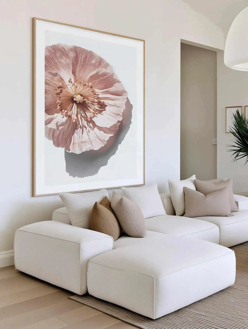 Large framed art print displaying a close-up illustration of a poppy flower with dusty rose and mauve petals rendered in soft, watercolor-like brushstrokes. The flower features a prominent golden-yellow center with delicate stamens, set against a light background with subtle gray shadowing beneath the bloom. The print is housed in a natural wood frame with white border and hangs above a modern cream-colored modular sofa with textured cushions in neutral tones in a minimalist living room.