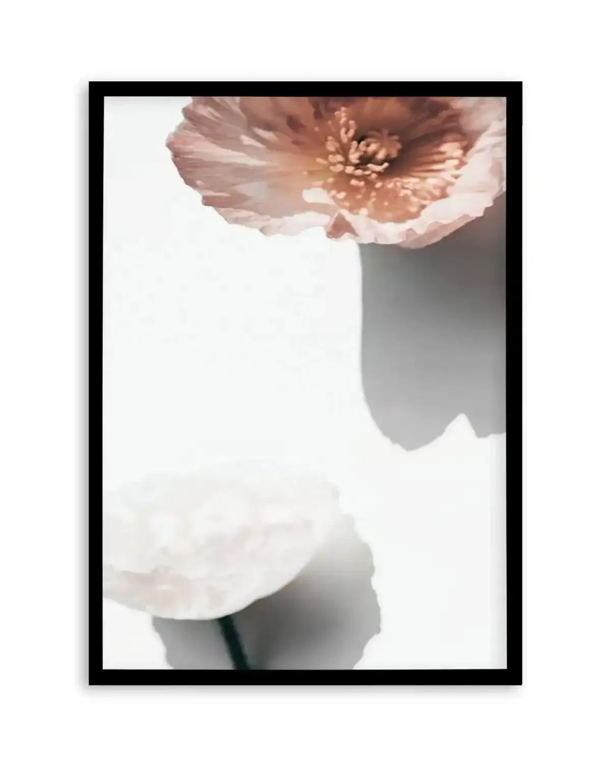 Abstract Poppies IV Art Print from Olive et Oriel where you can shop wallpaper and artworks online
