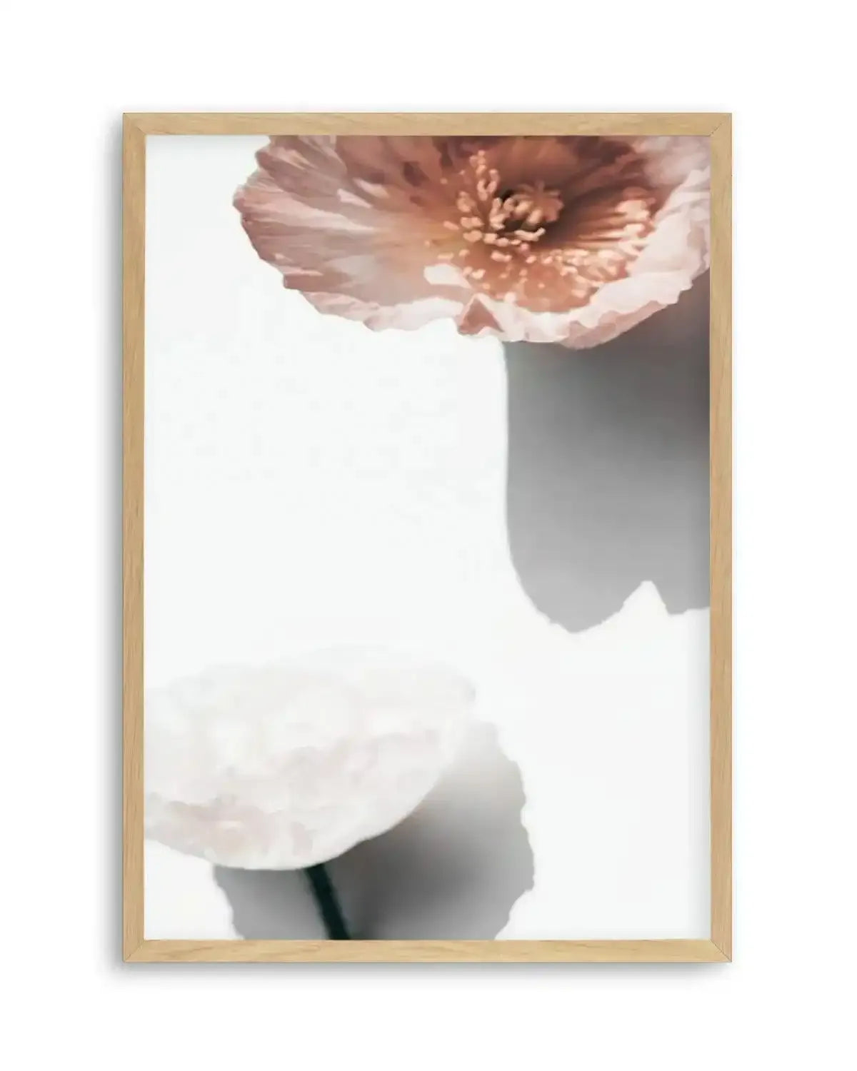 Abstract Poppies IV Art Print from Olive et Oriel where you can shop wallpaper and artworks online